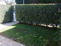 House image small