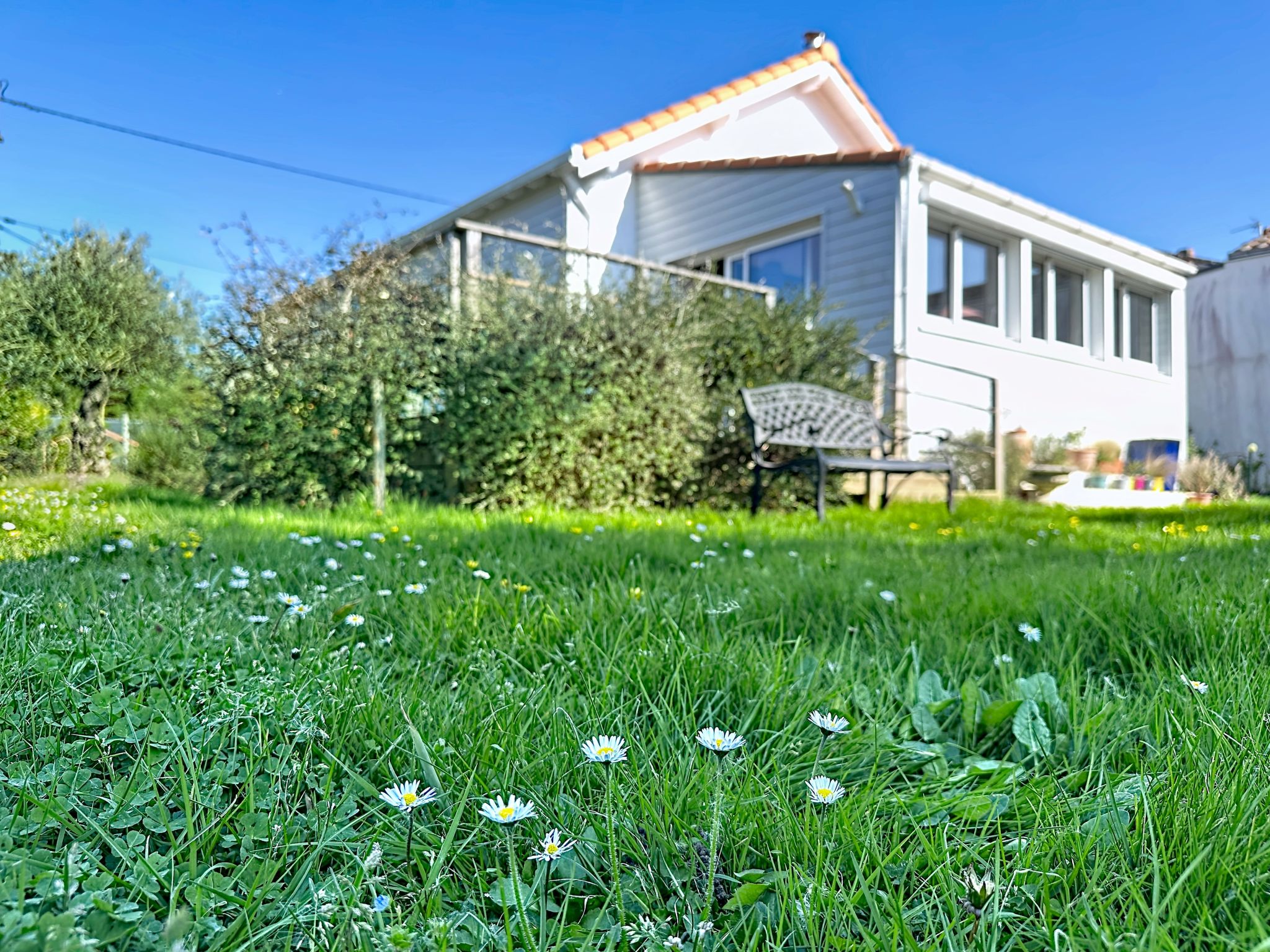 Les Rainettes - Draußen