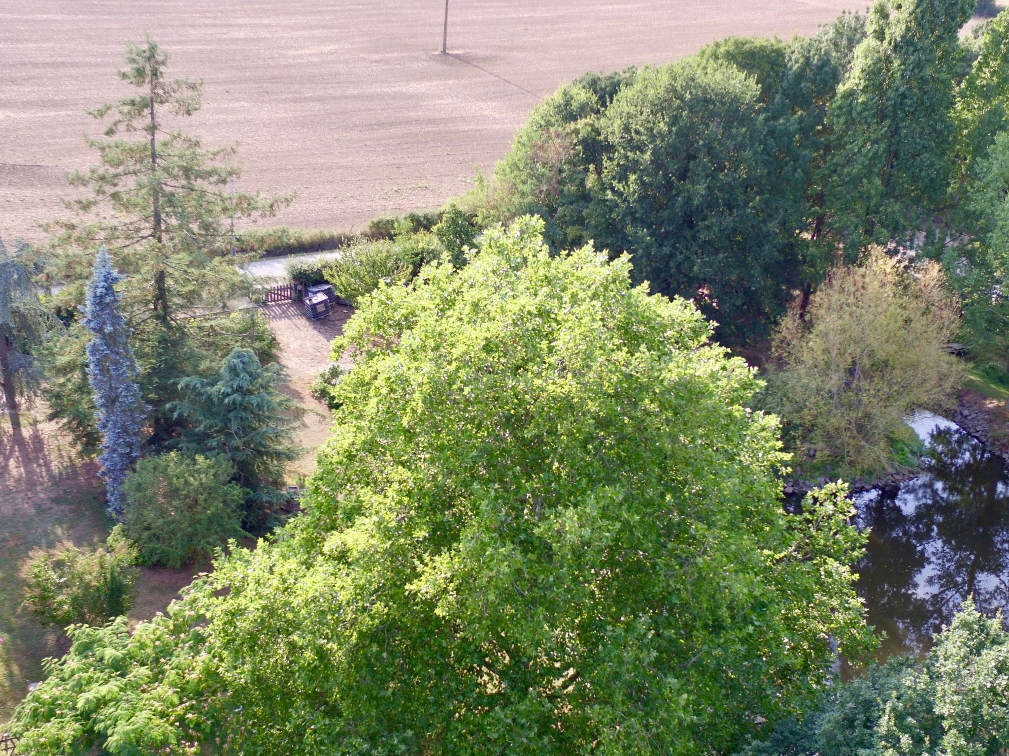 'Au Bas Chalonge Gîte'