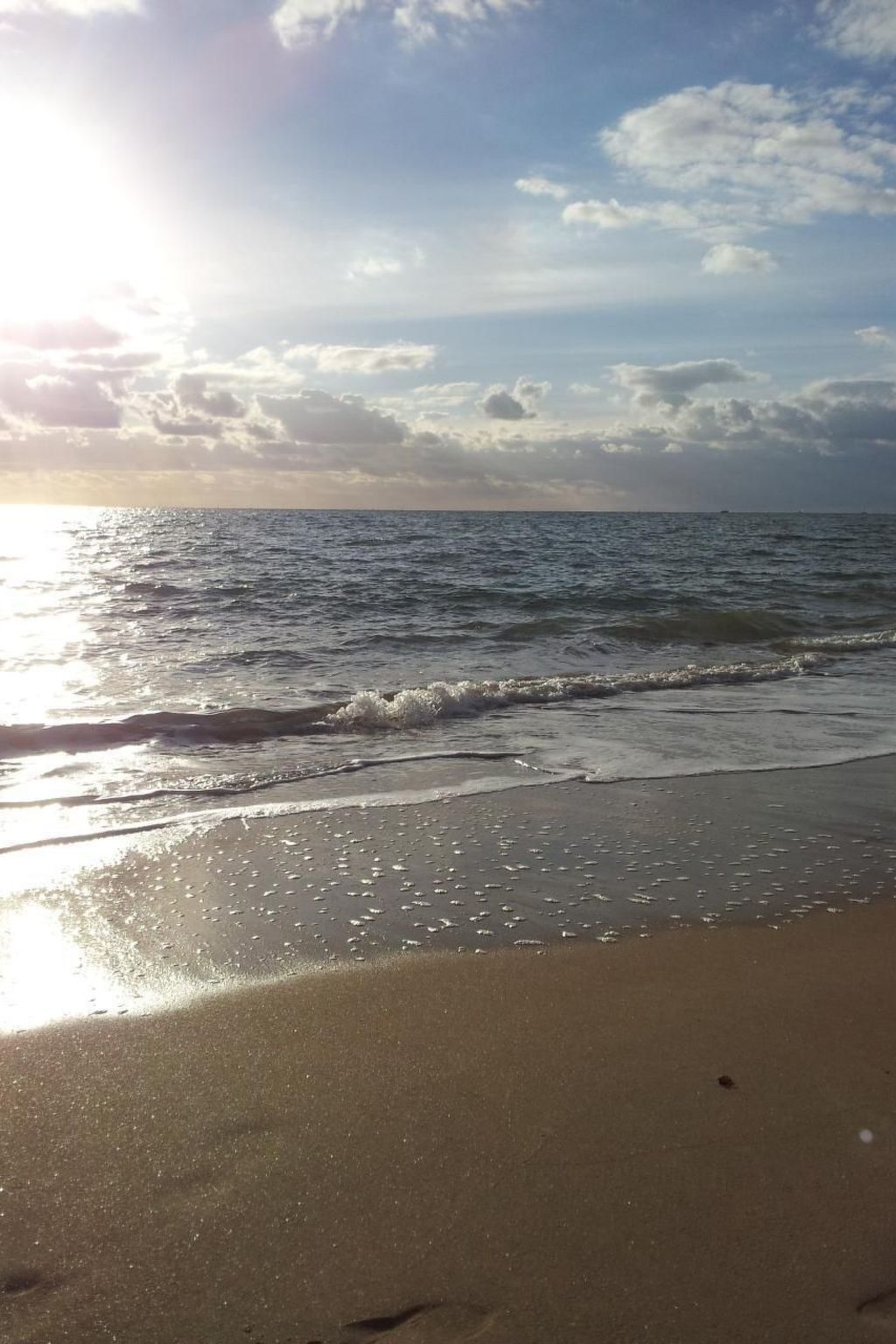 Genets d'armor - Privater Zugang zum Strand