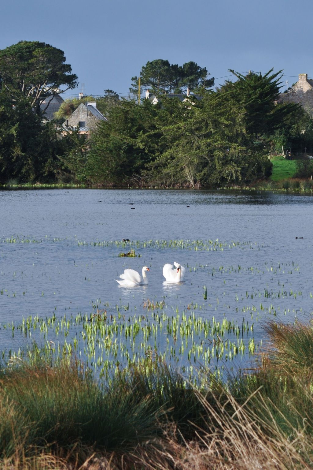 La Bergerie-Image-tags.info