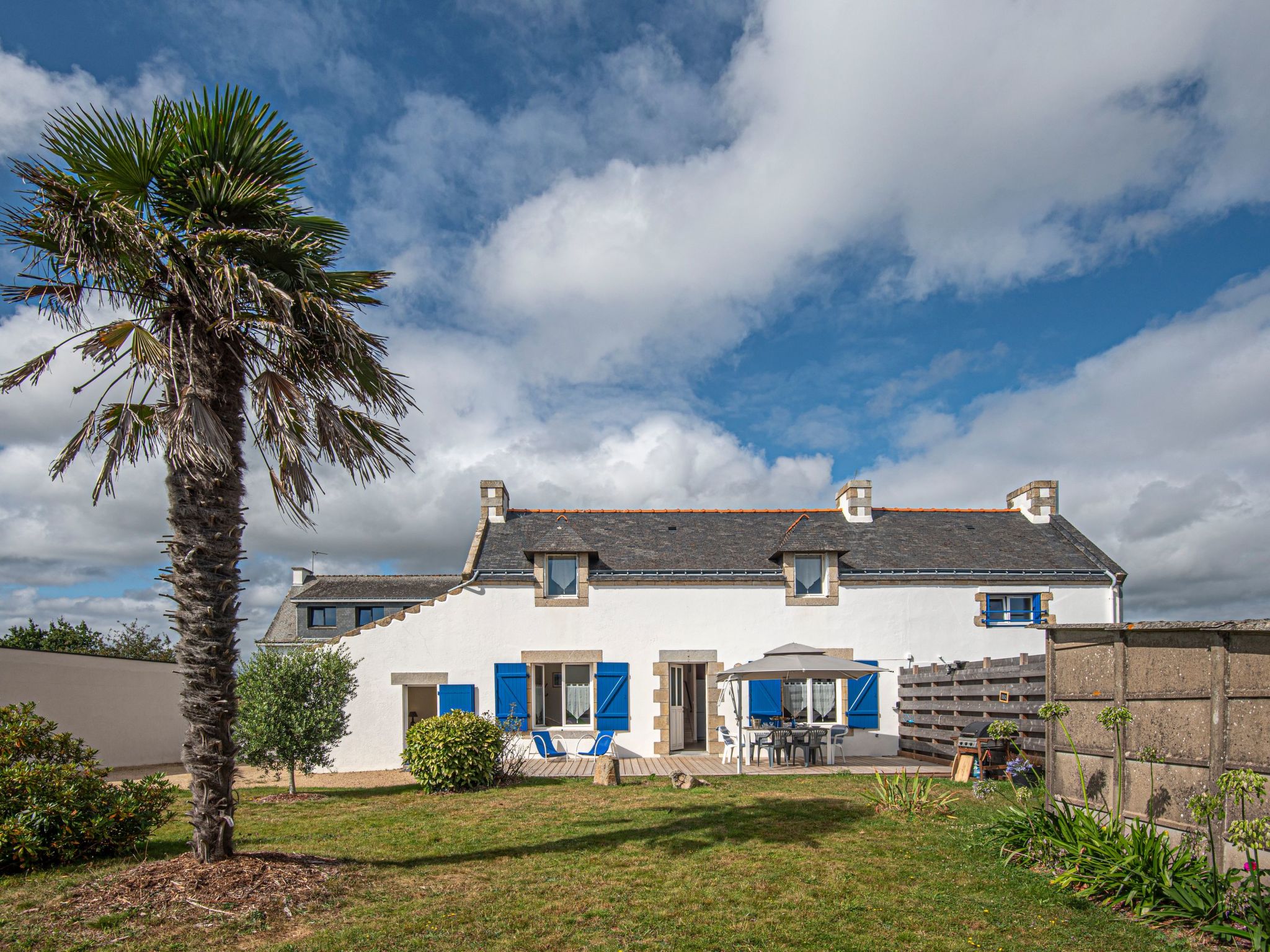 Photo of Les palmiers