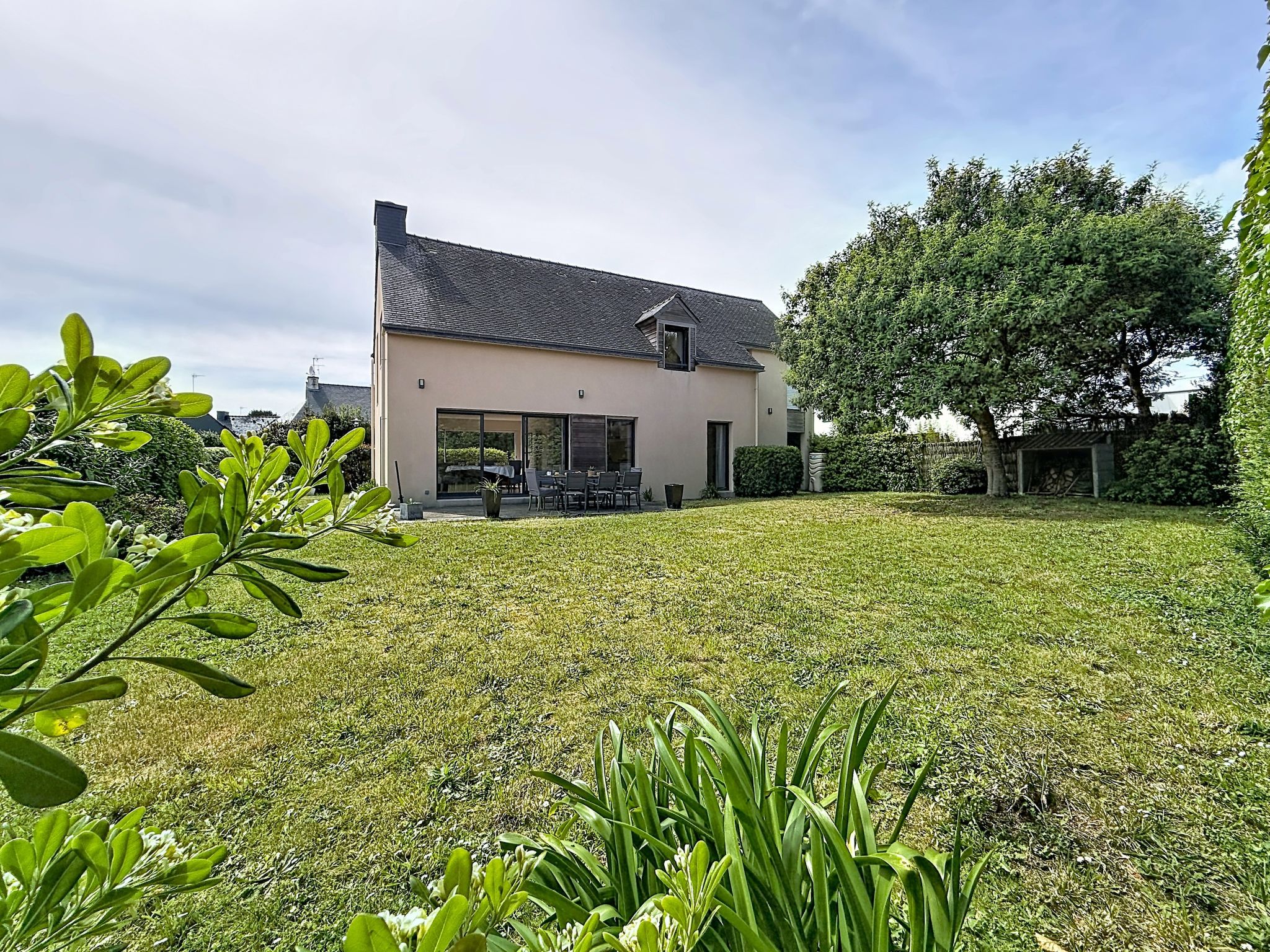 Photo of Les Mimosas