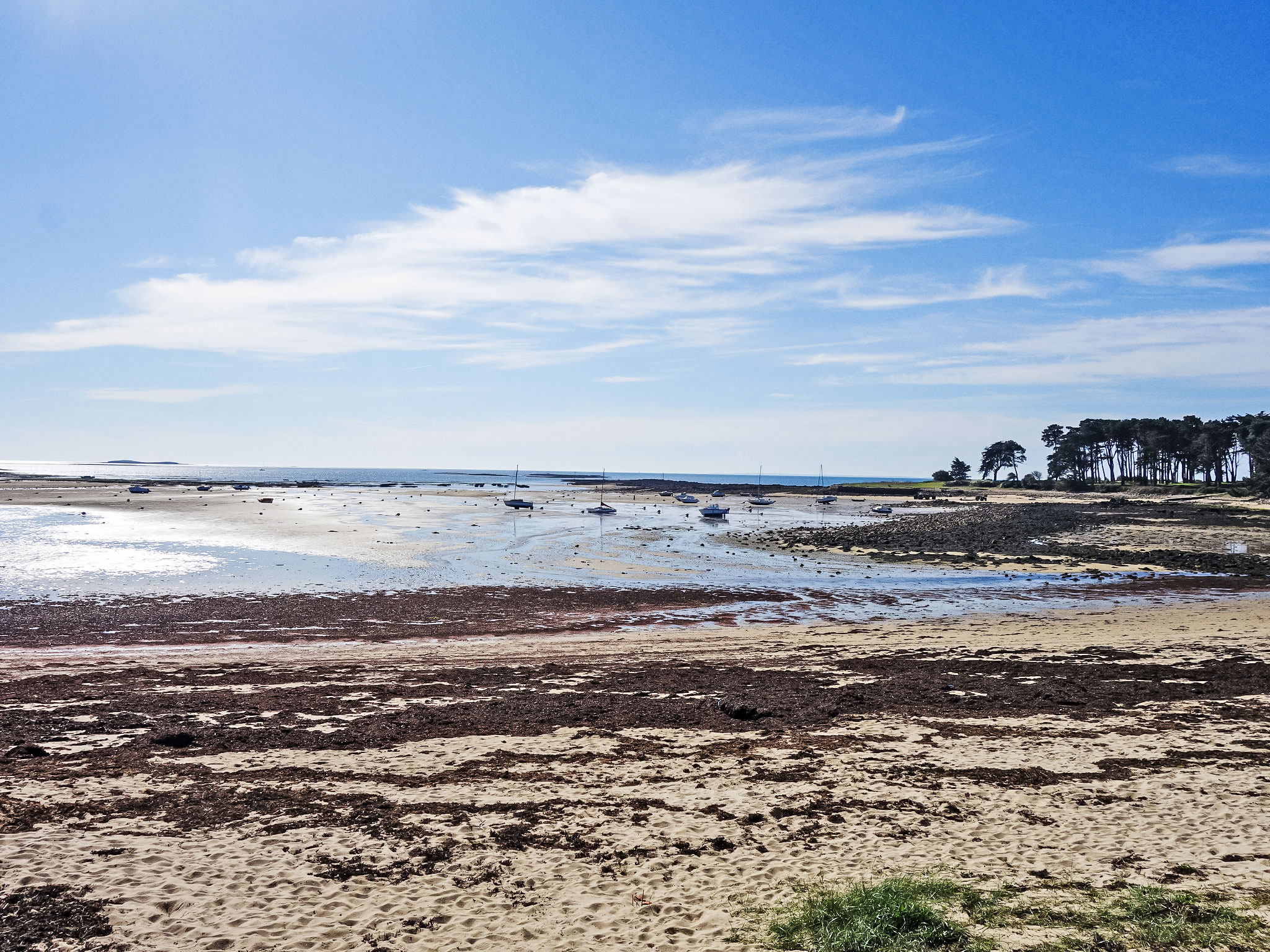 Photo of Men Er Bellec