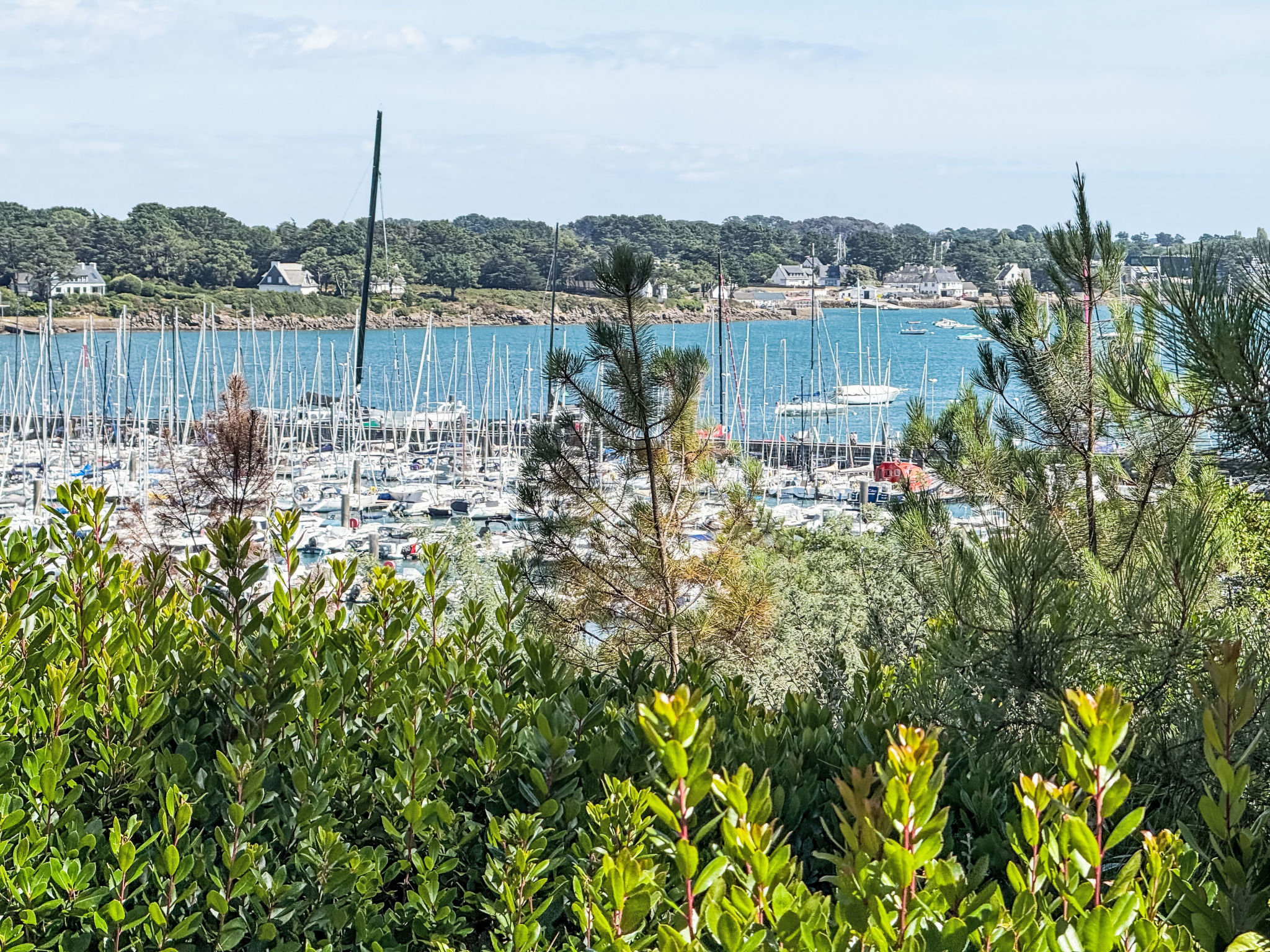 Les Terrasses du Port - Buiten