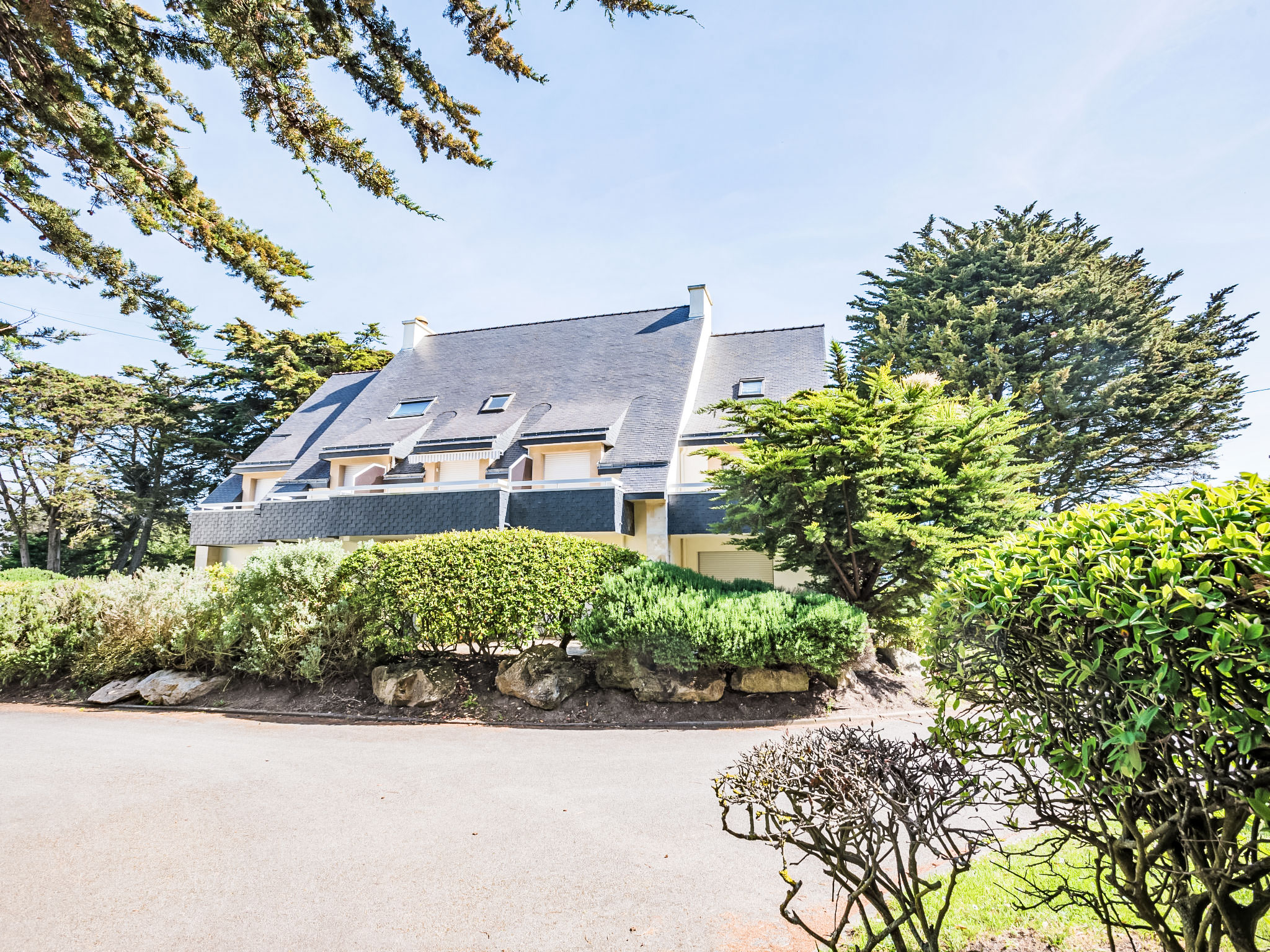 Photo of Rose des Vents