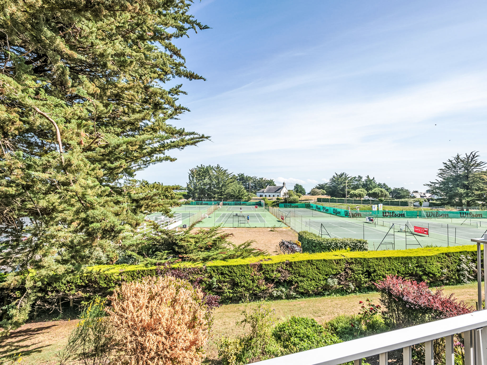 Photo of Rose des Vents