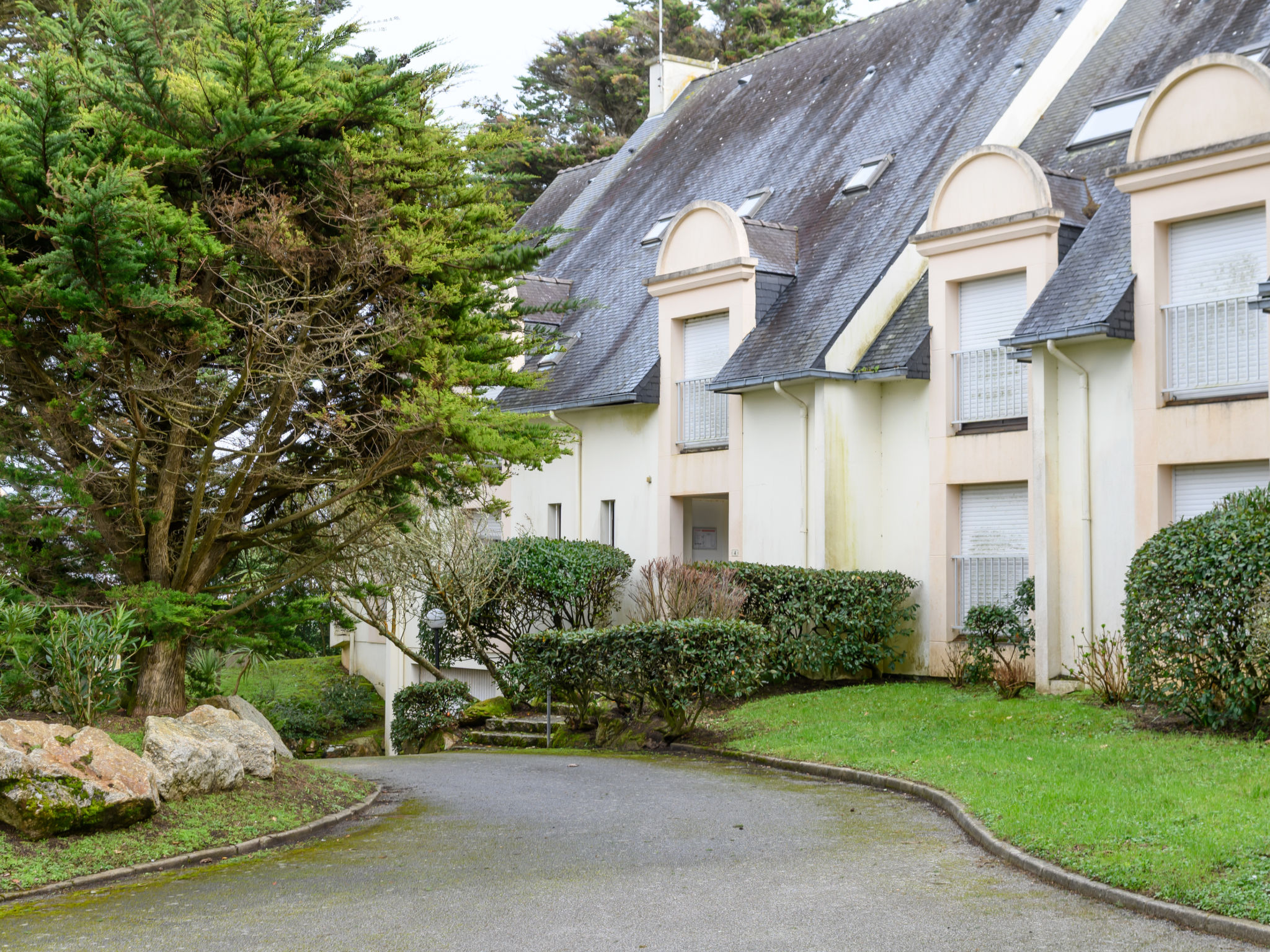 Photo of Rose des Vents