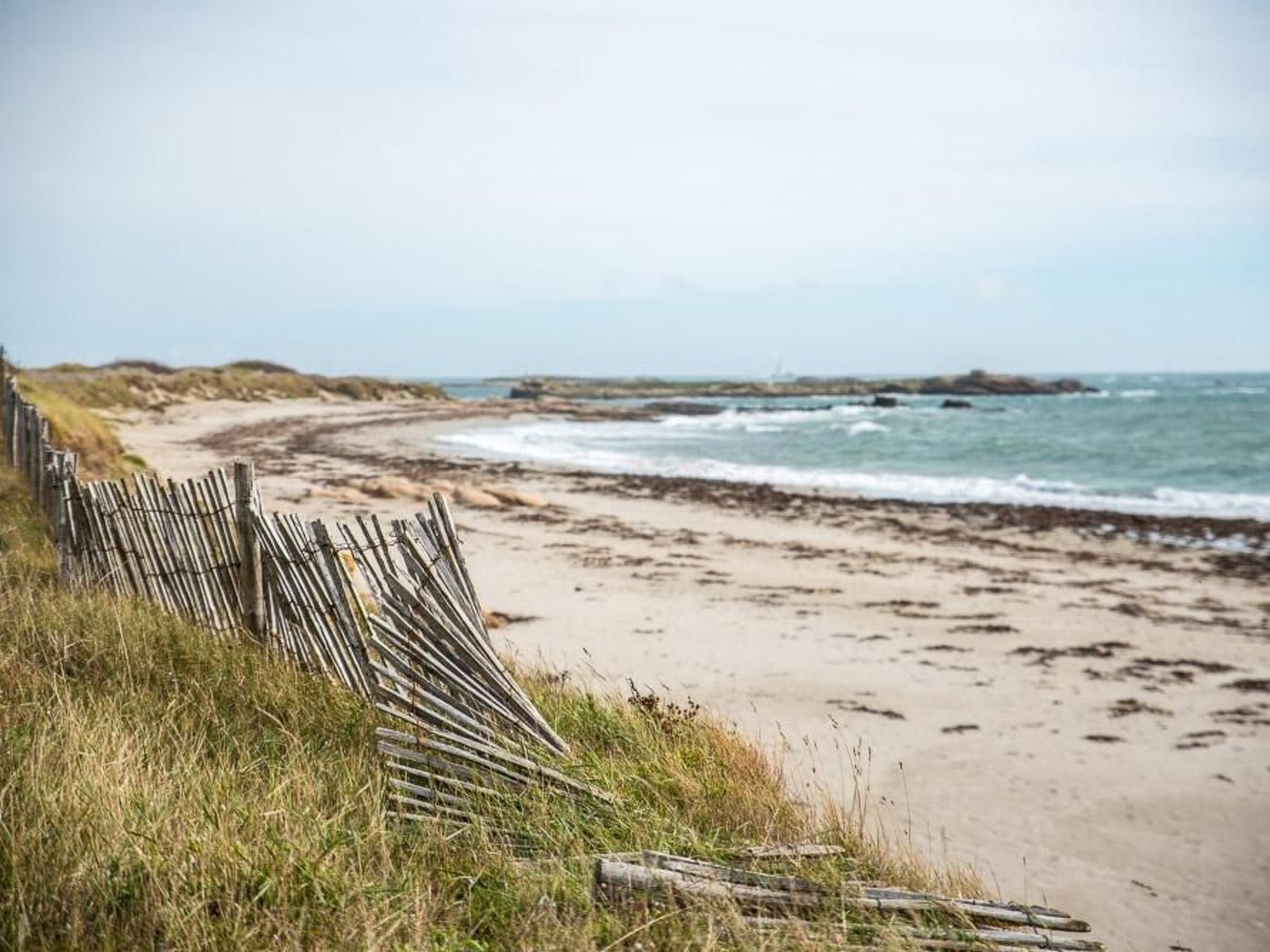 Photo of Maison Rose