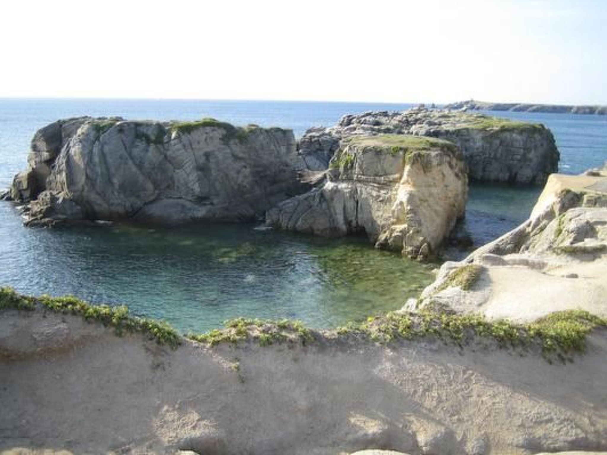 Photo of Maison Rose