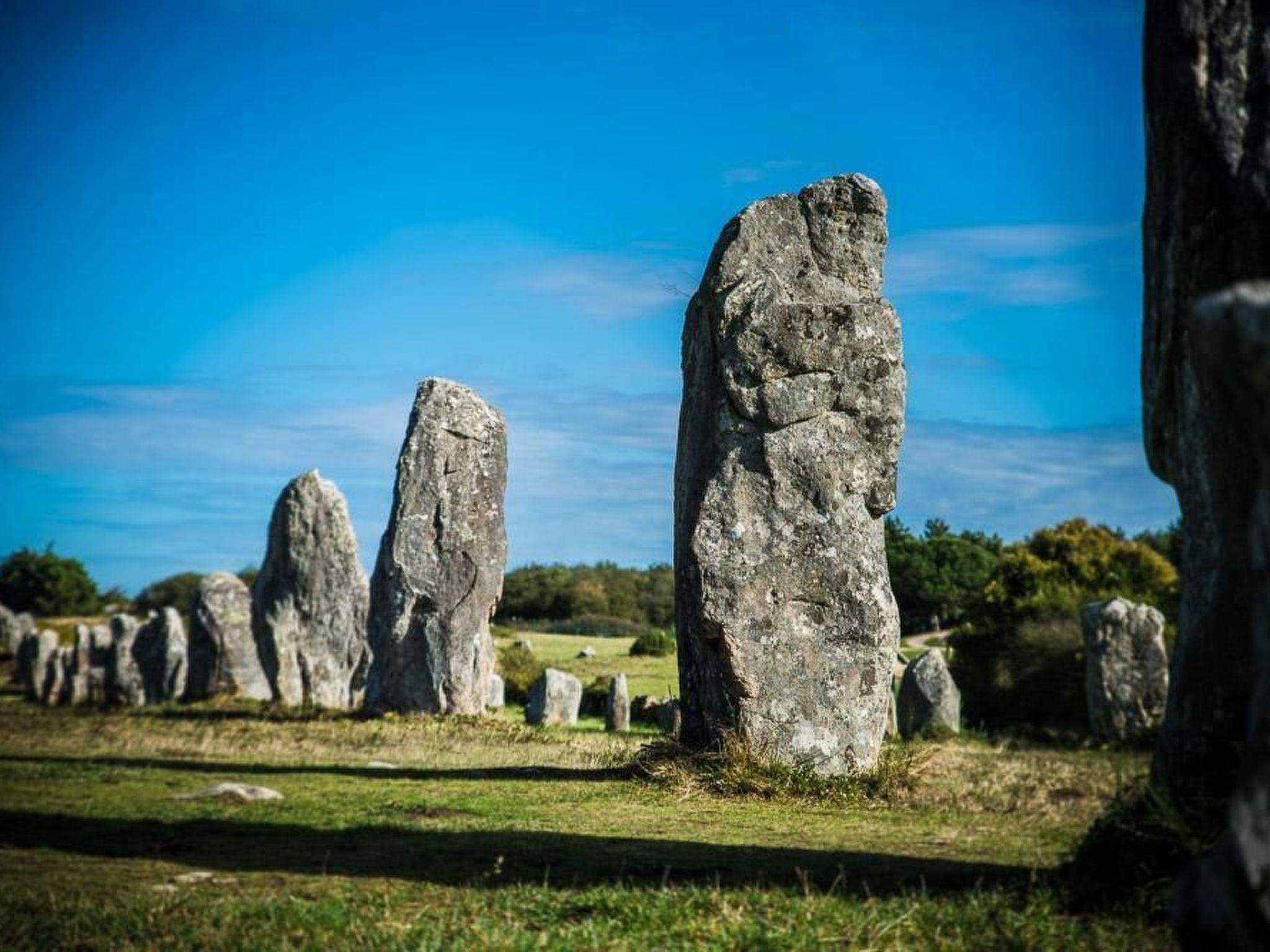 Photo of Maison Rose