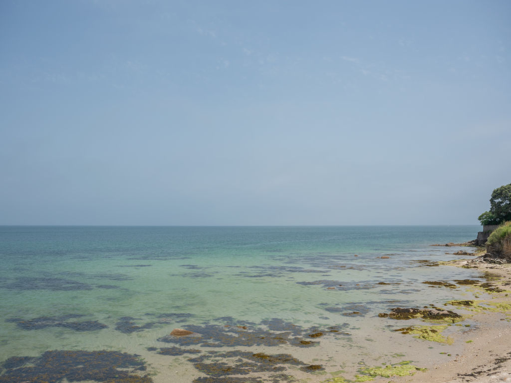 Bild 12