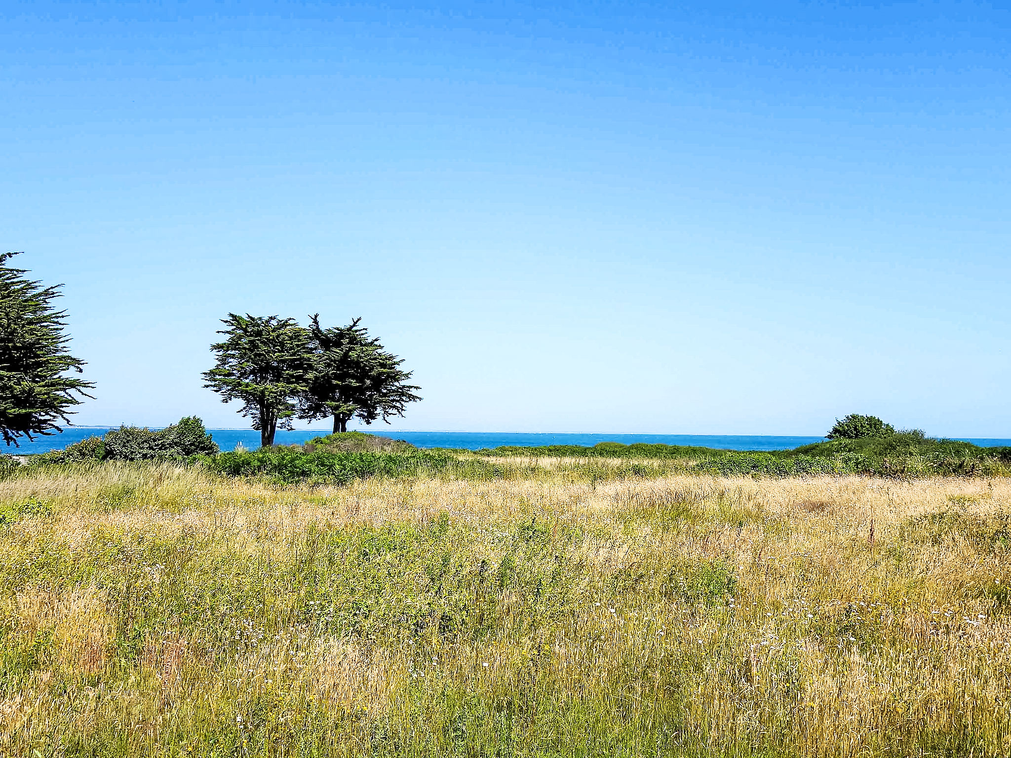 Photo of Domaine de la Greve