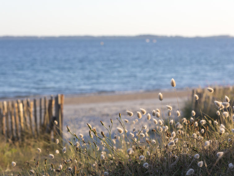 Photo of Les Terrasses de la Plage