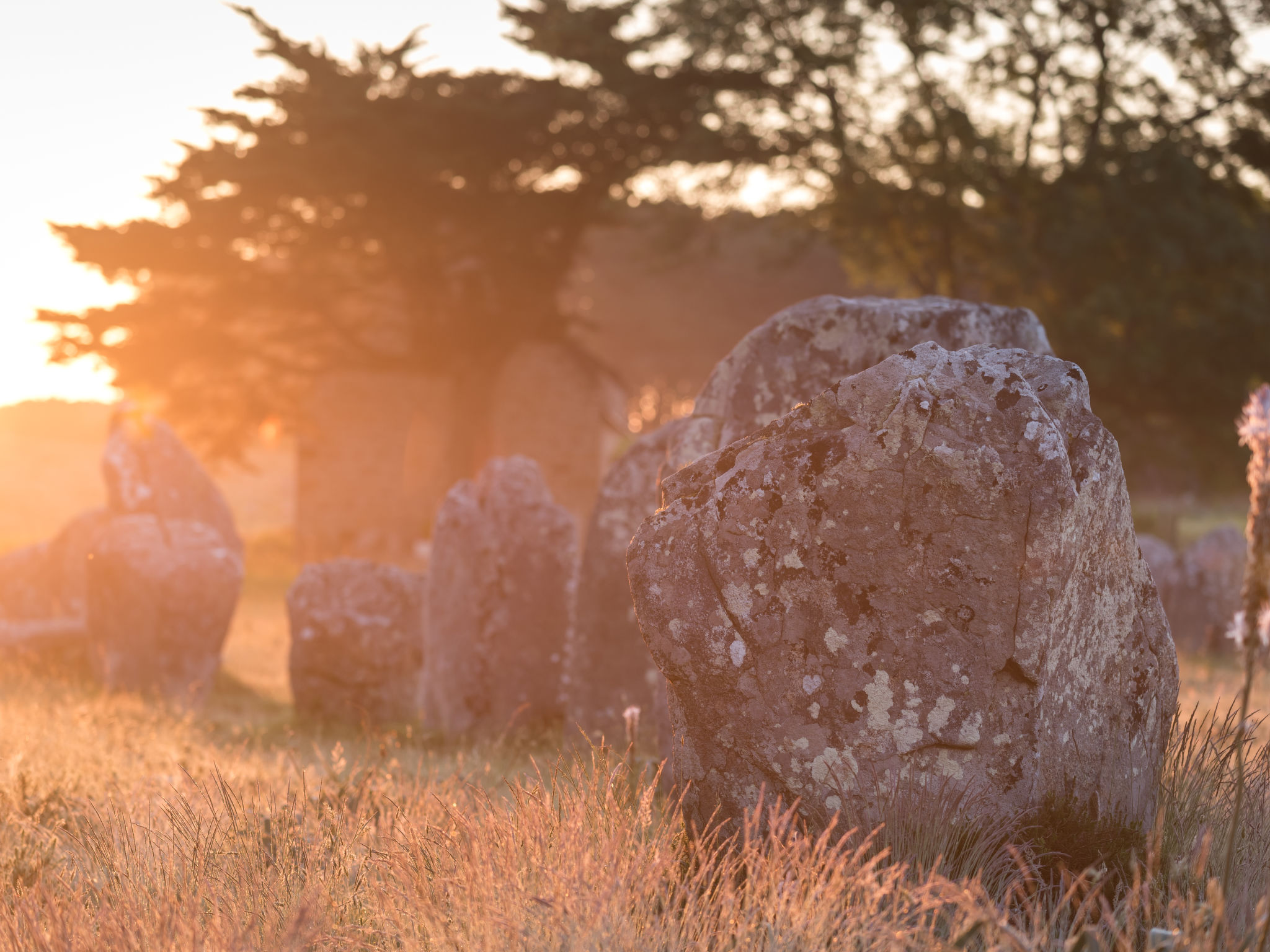Les Reflets de Carnac-Umgebung