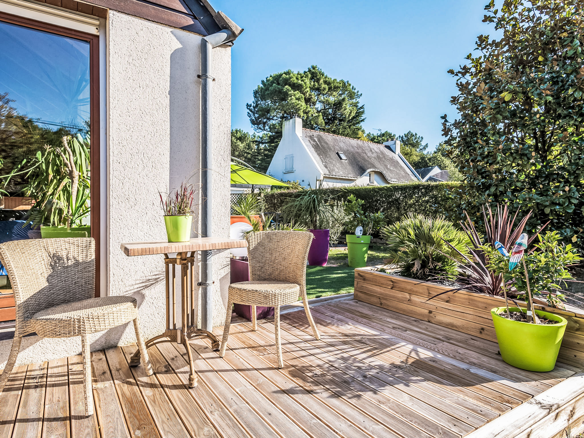 Photo of Blue Moustoir