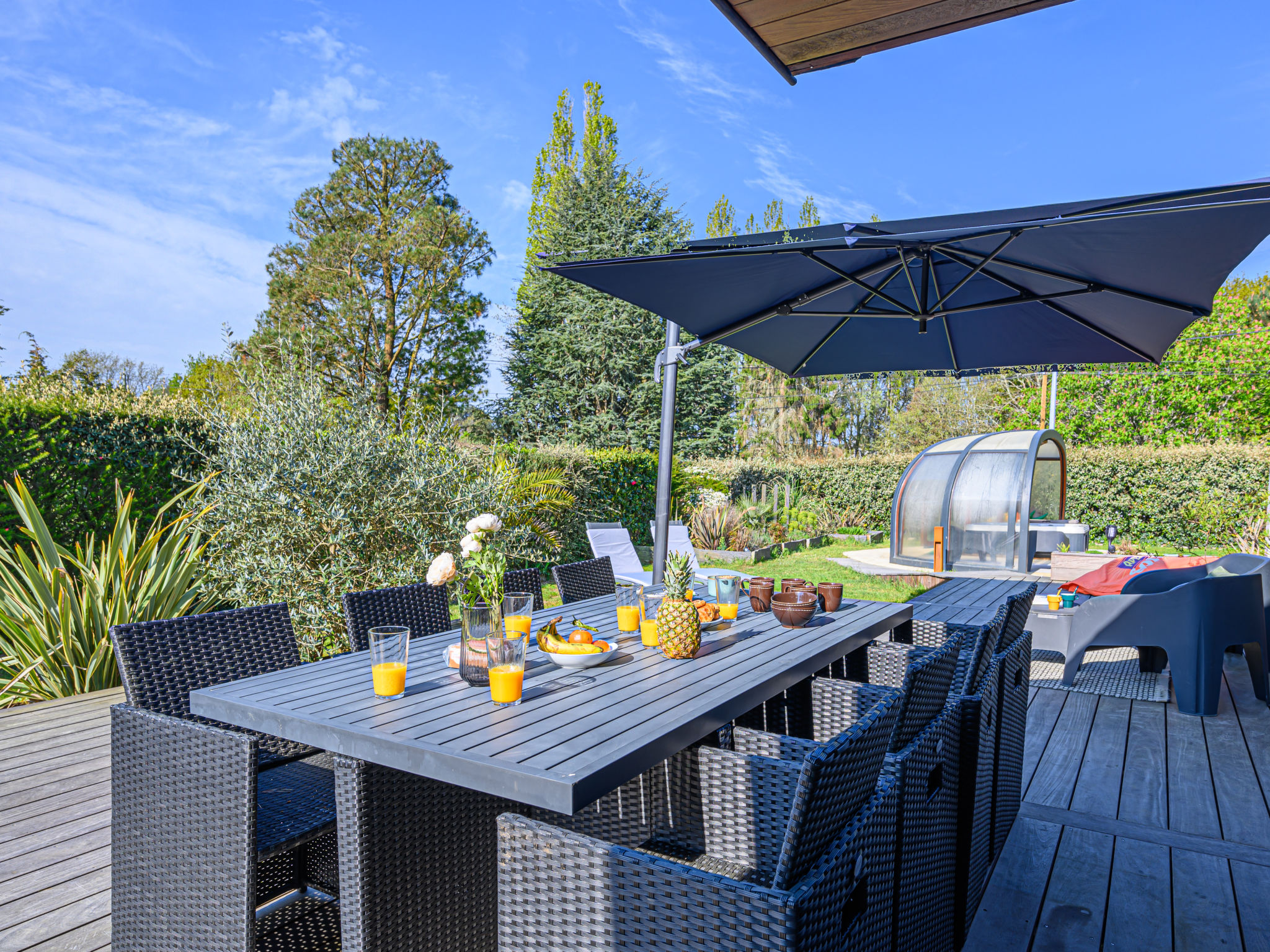 Photo of Blue Moustoir