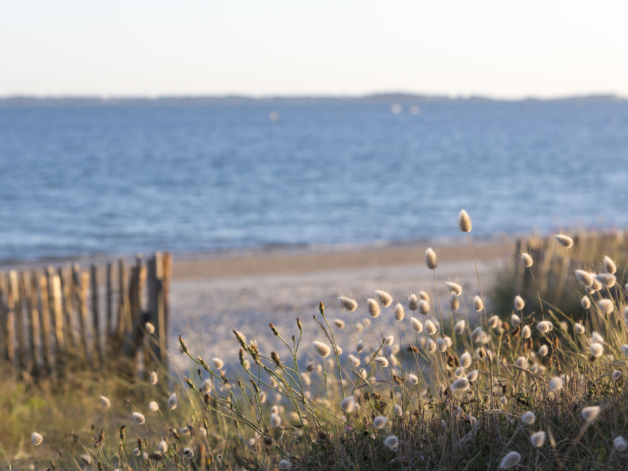Azur-Omgeving