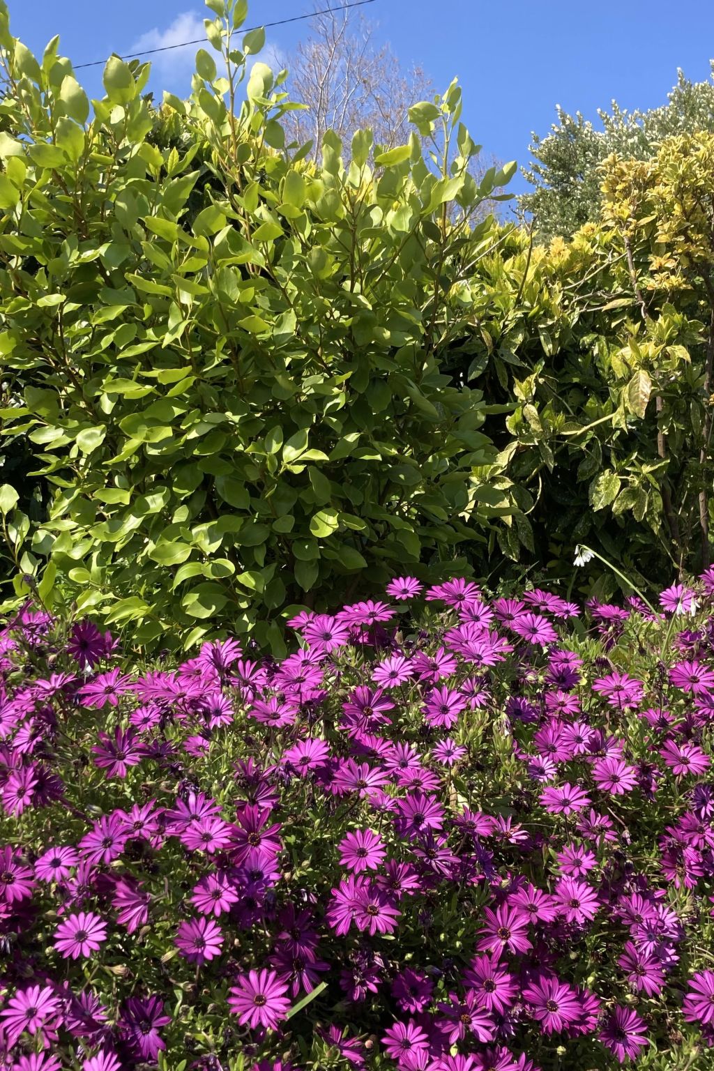 Villa DUXCAAR-Inside