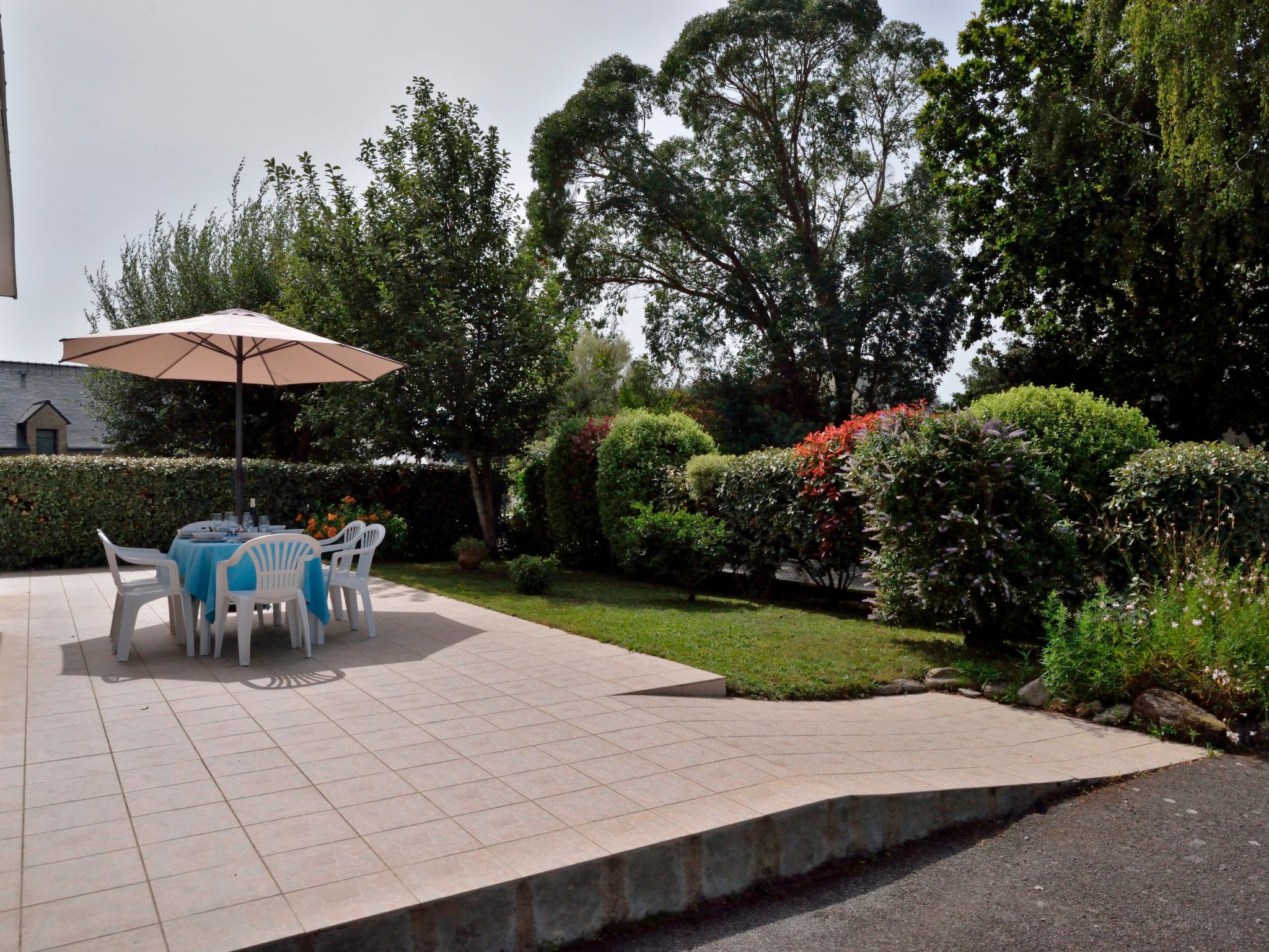 Photo of Les Agapanthes