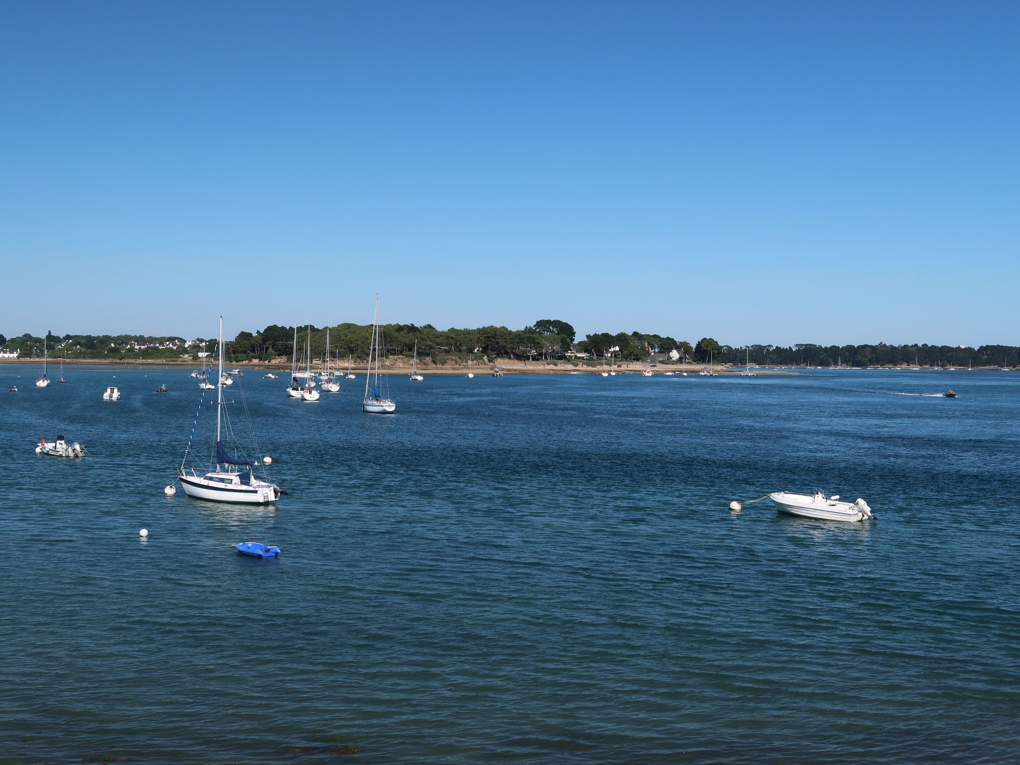 Le nid du Golfe-Omgeving