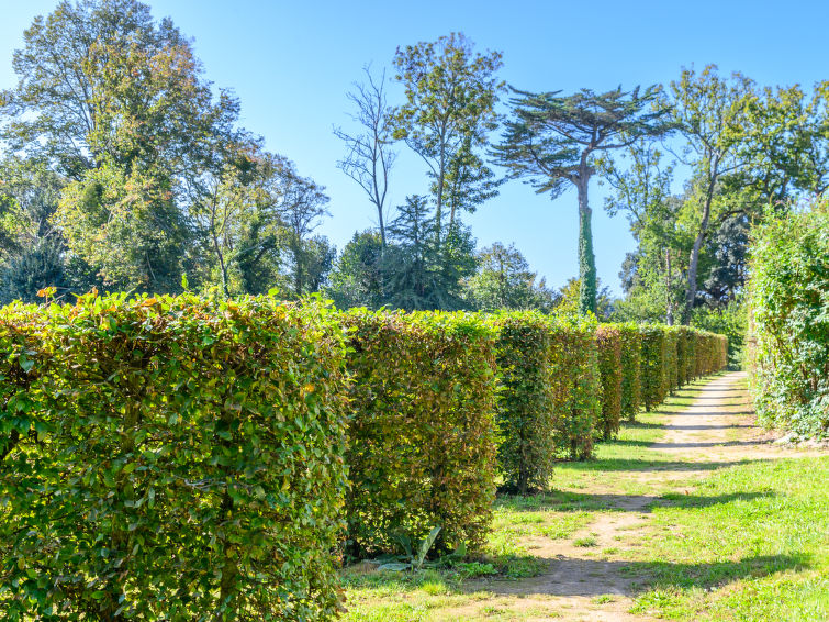 Photo of Château De Kergonano, dans l'Orangerie