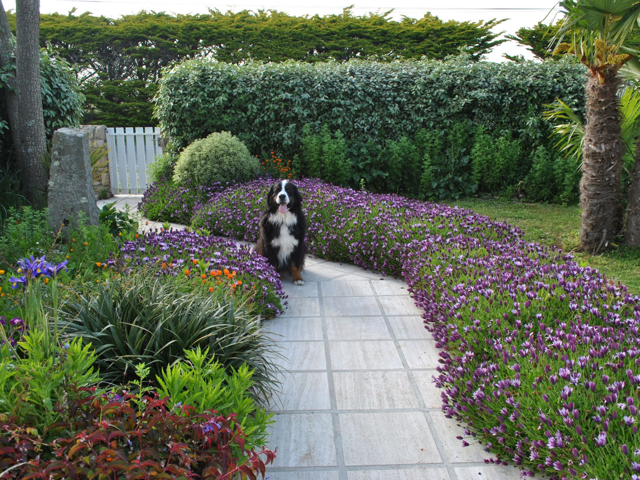 Wellness-Villa Duxcaar-Binnen