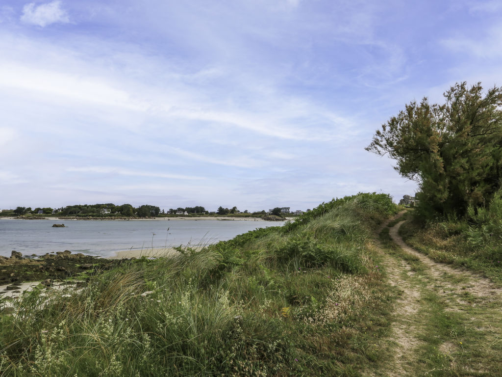 Bild 14