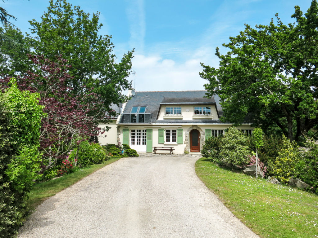 Bild 15
