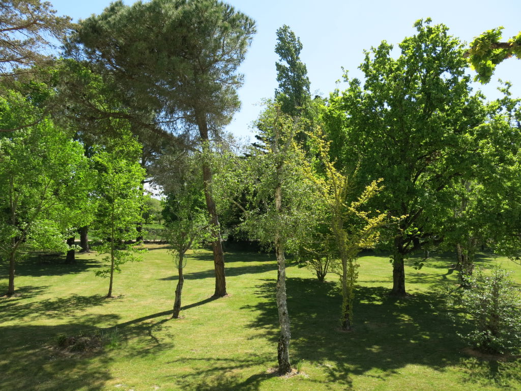 Bild 21