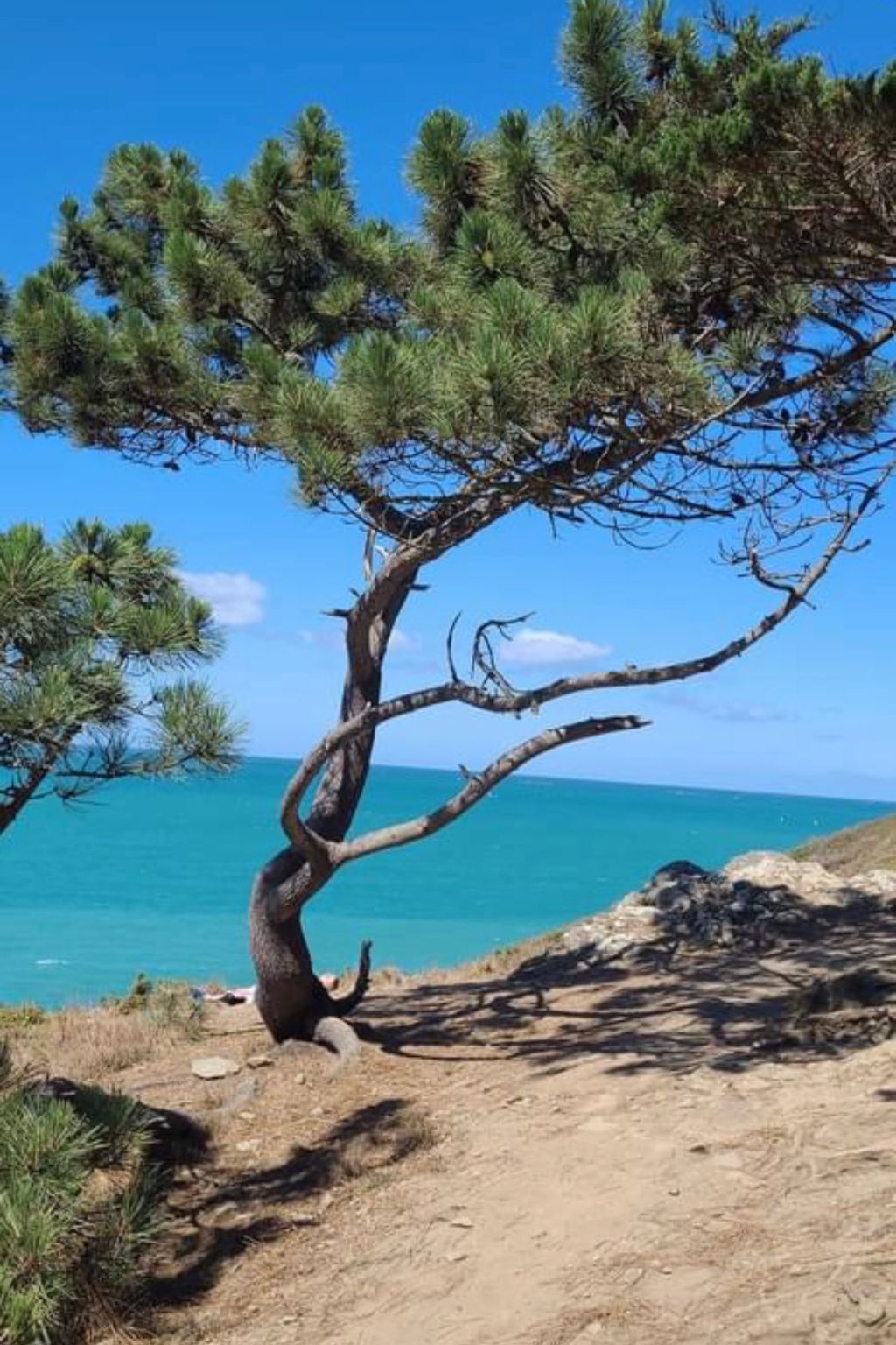 Wunderschöne Wohnung 40m vom Strand entfernt - Dehors
