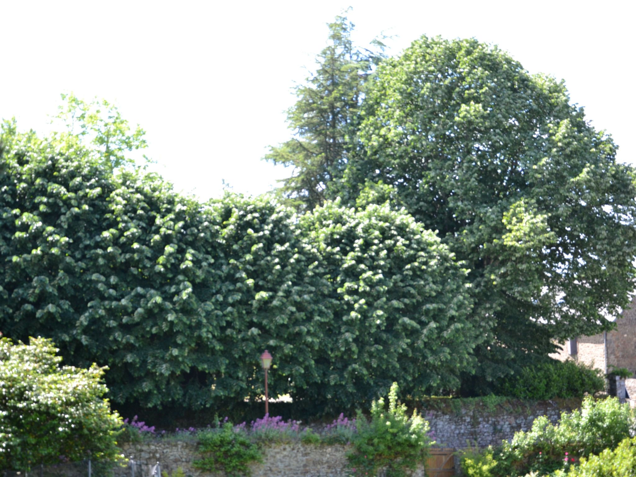 Villa La Côte du Chat -Familienhaus Bretagne-Dedans