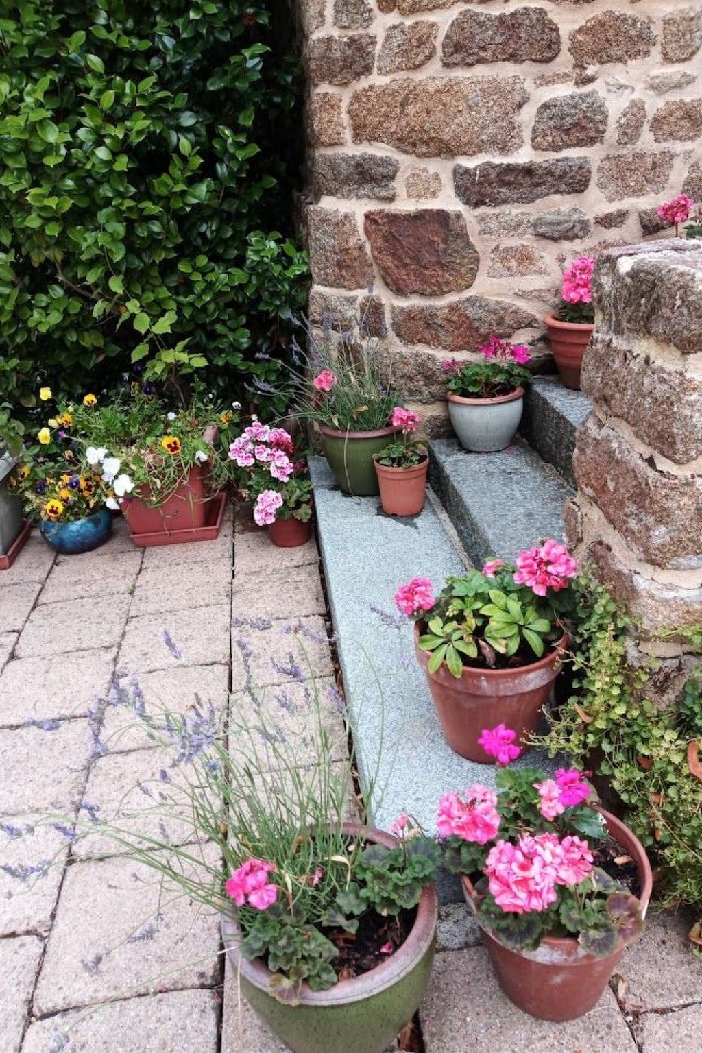 Villa La Côte du Chat -Familienhaus Bretagne-Dedans