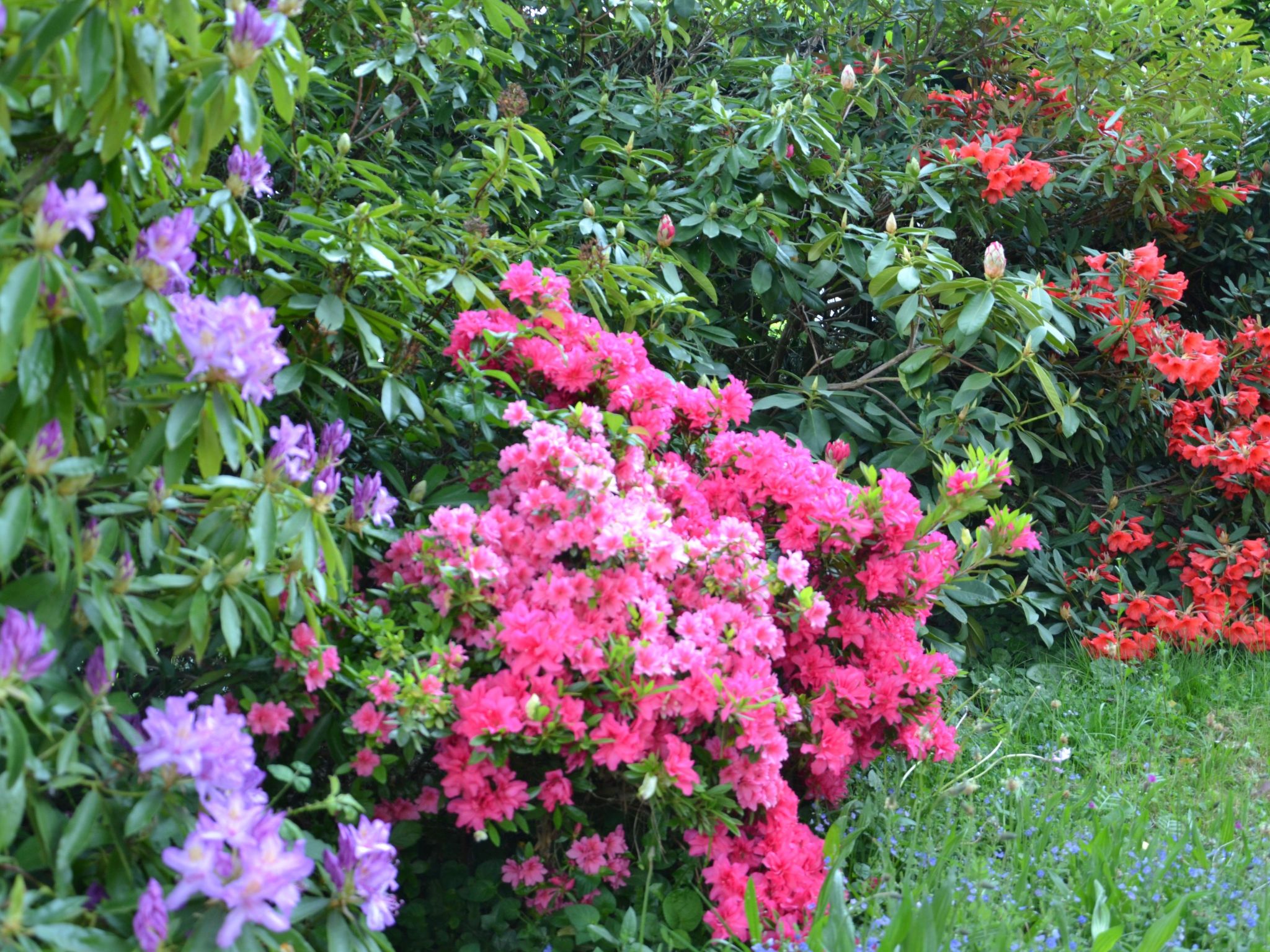 Villa La Côte du Chat -Familienhaus Bretagne-Dedans