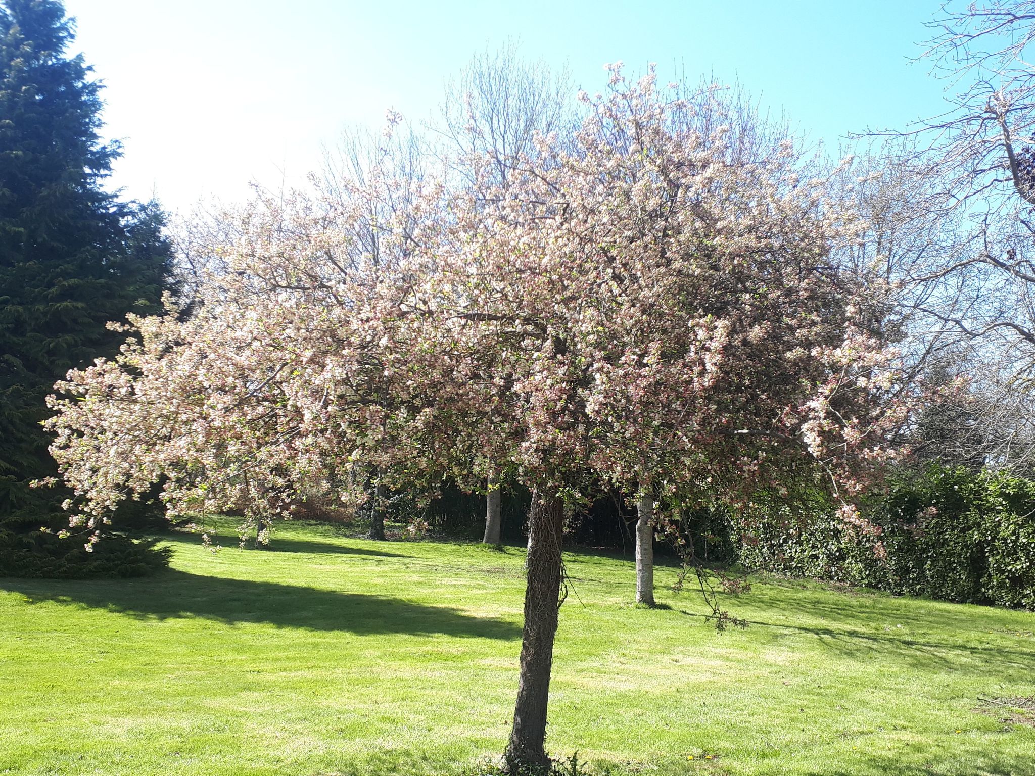 Gite de bon air-Binnen