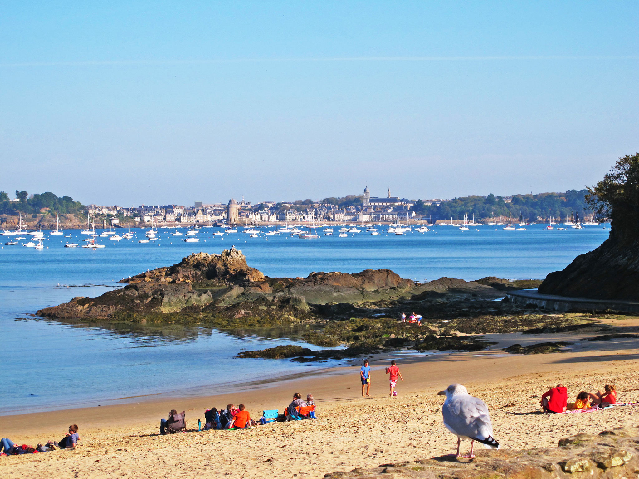 Le Caroline-Area