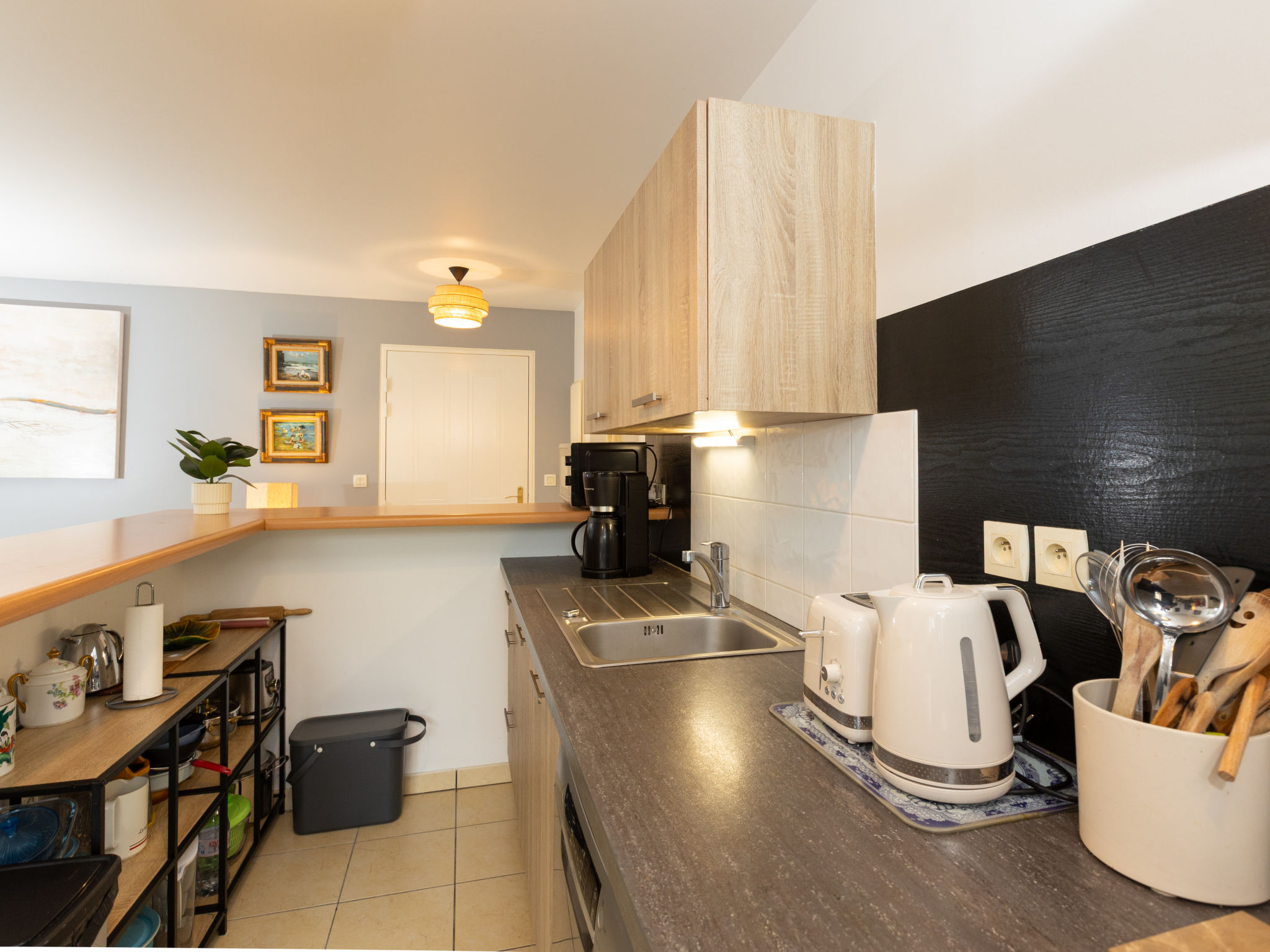 Photo of Les Orchidées