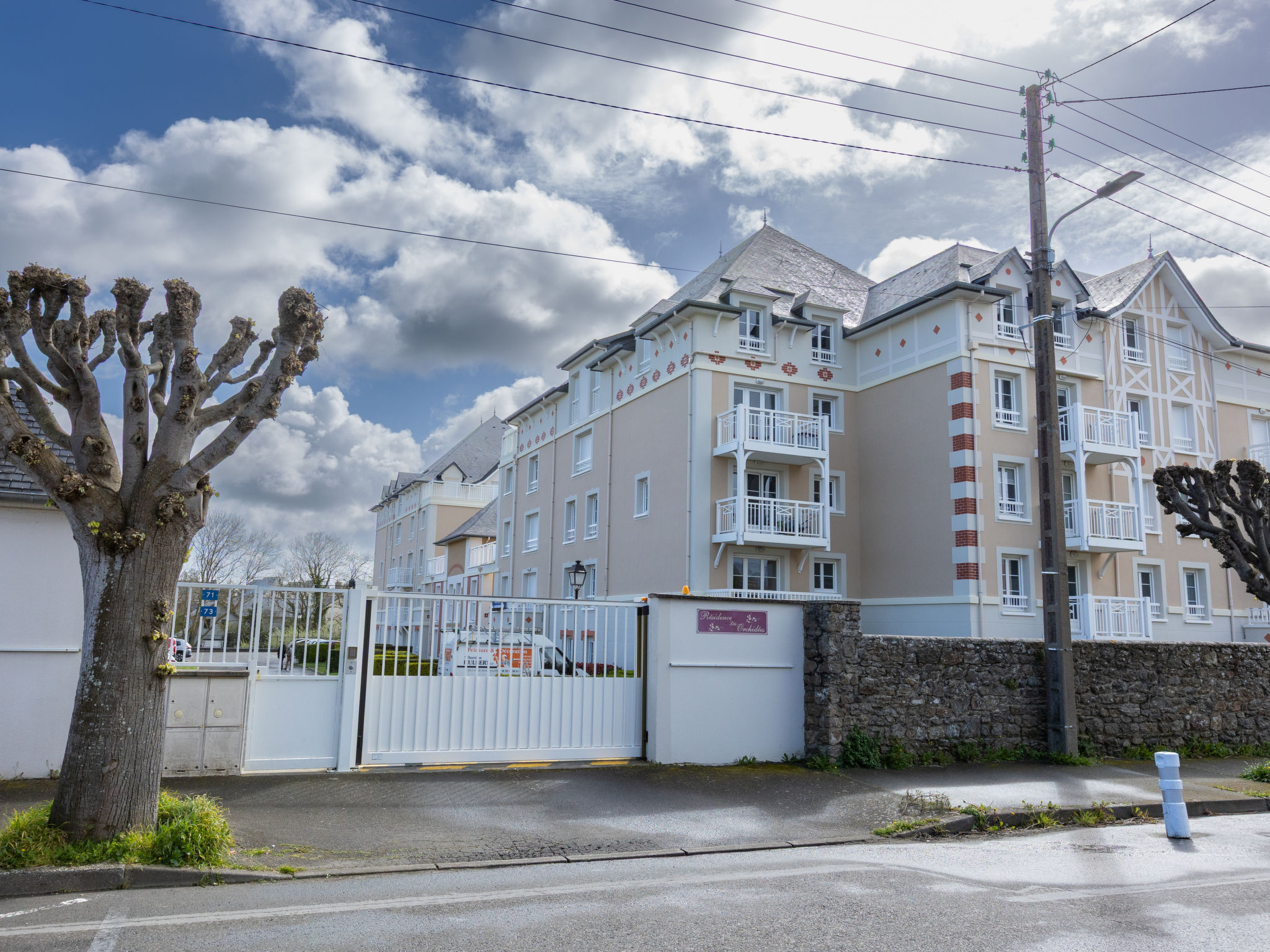 Photo of Les Orchidées