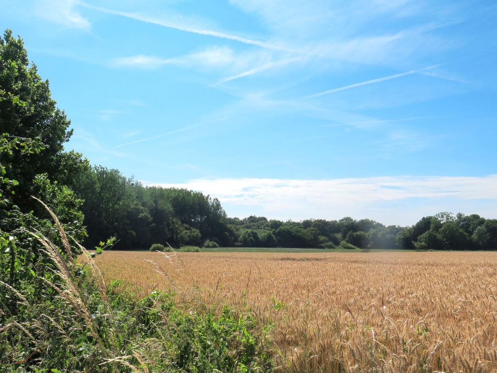 Bild 13