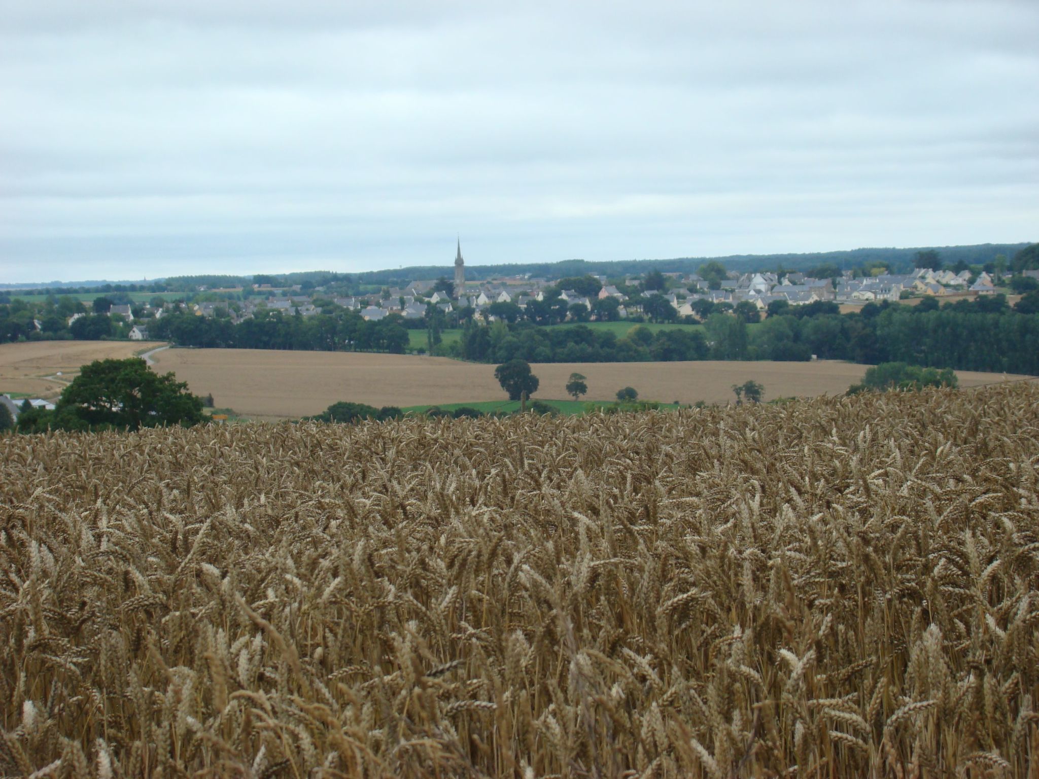 Für 4 Personen ca. 35 m&sup2;in Hénanbihen, Bretagne (Côtes-d'Armor) - Dehors