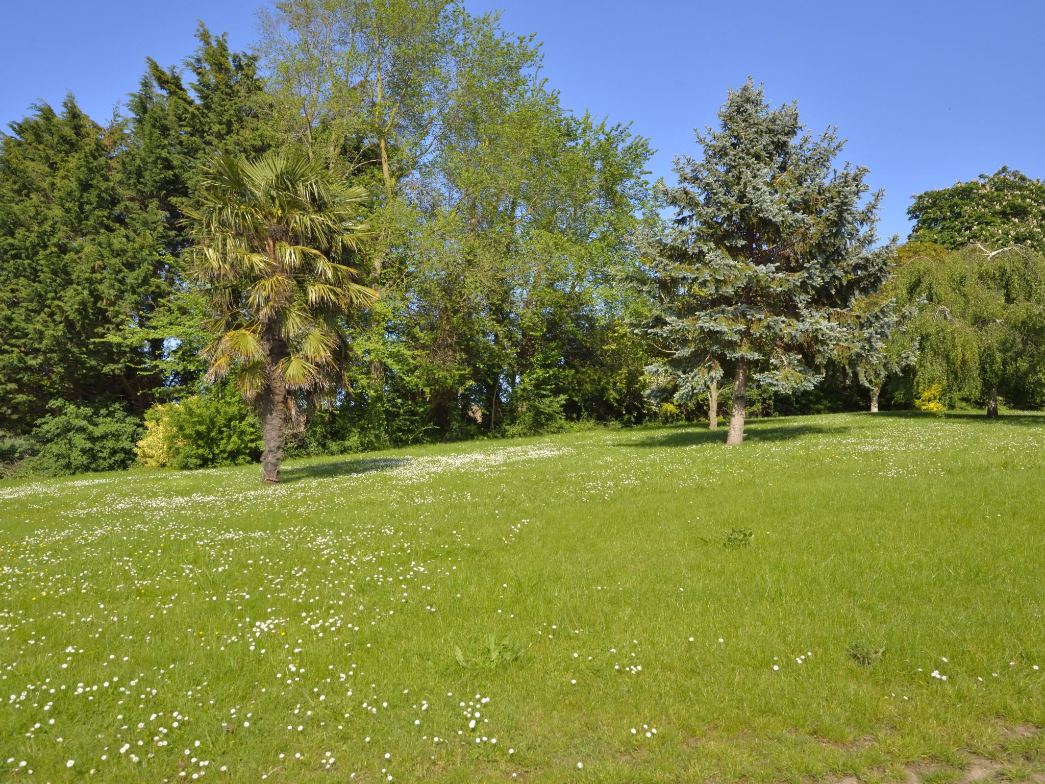 Maison Ker Yannick – Terrasse, photo 34 sur 38