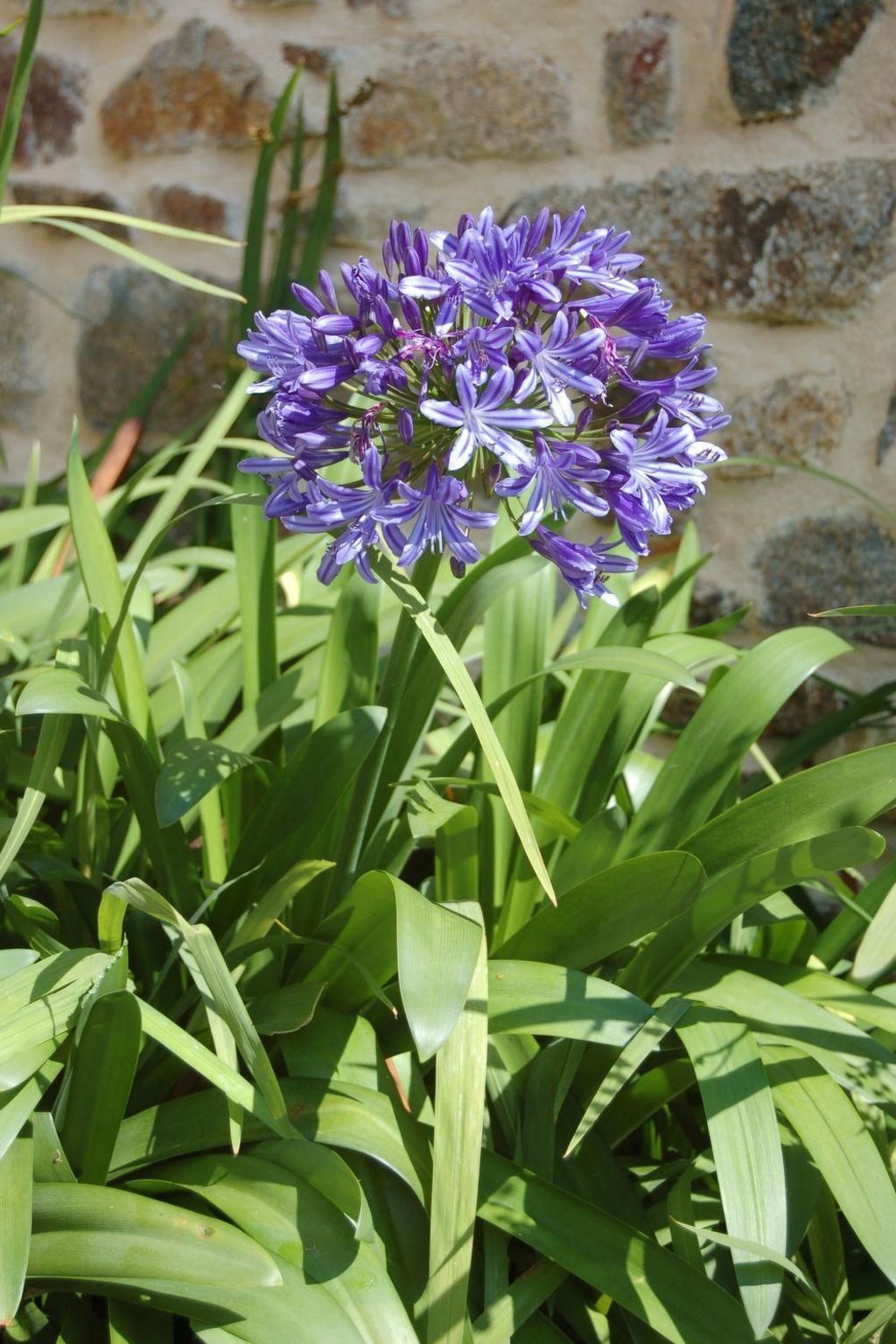 Wunderschönes Haus mit Garten in Lézardrieux-Binnen