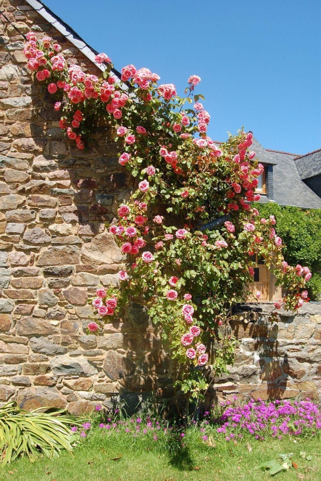 Wunderschönes Haus mit Garten in Lézardrieux-Binnen