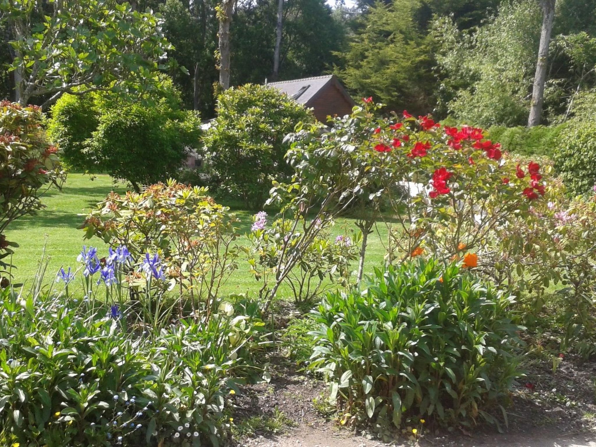 Chalet "gite du bois d'amour" (Hütte des Liebesholzes)-Inside