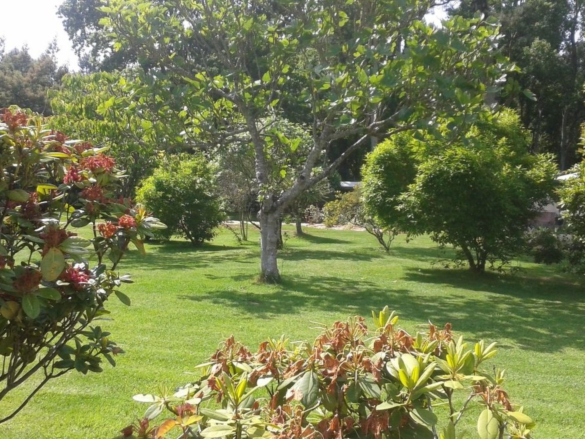 Chalet "gite du bois d'amour" (Hütte des Liebesholzes)-Inside