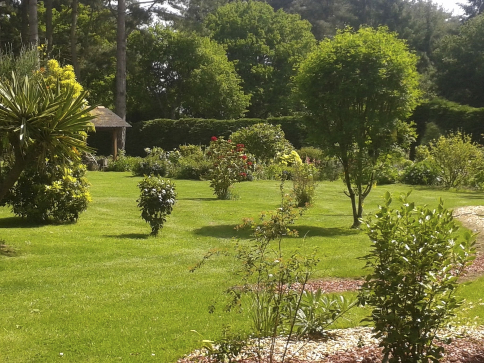 Chalet "gite du bois d'amour" (Hütte des Liebesholzes)-Inside