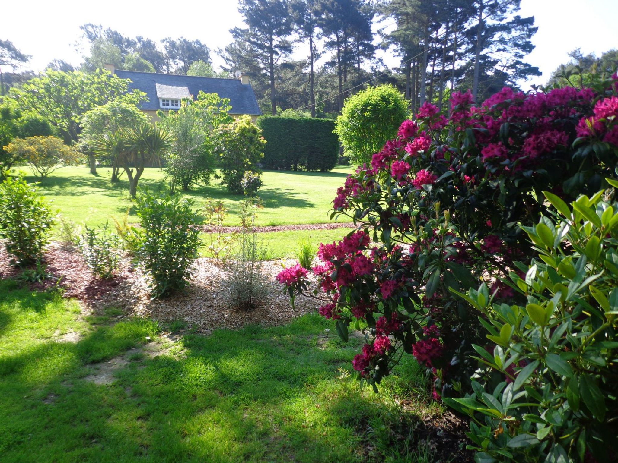 Chalet "gite du bois d'amour" (Hütte des Liebesholzes)-Inside