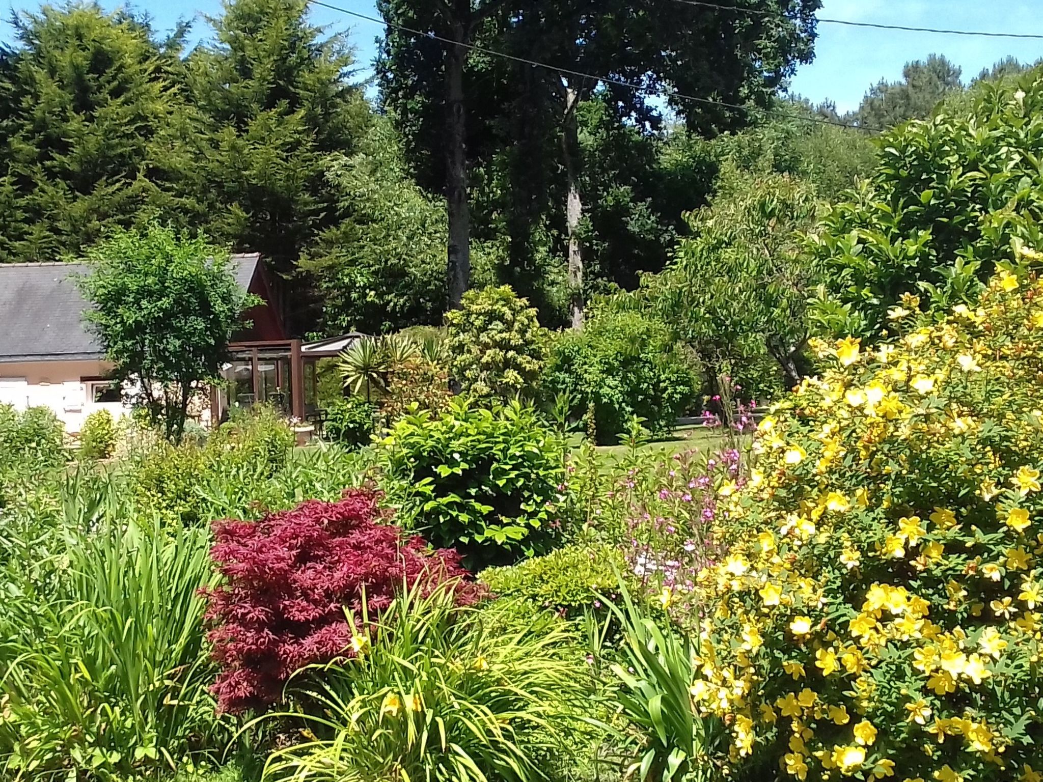 Chalet "gite du bois d'amour" (Hütte des Liebesholzes)-Inside