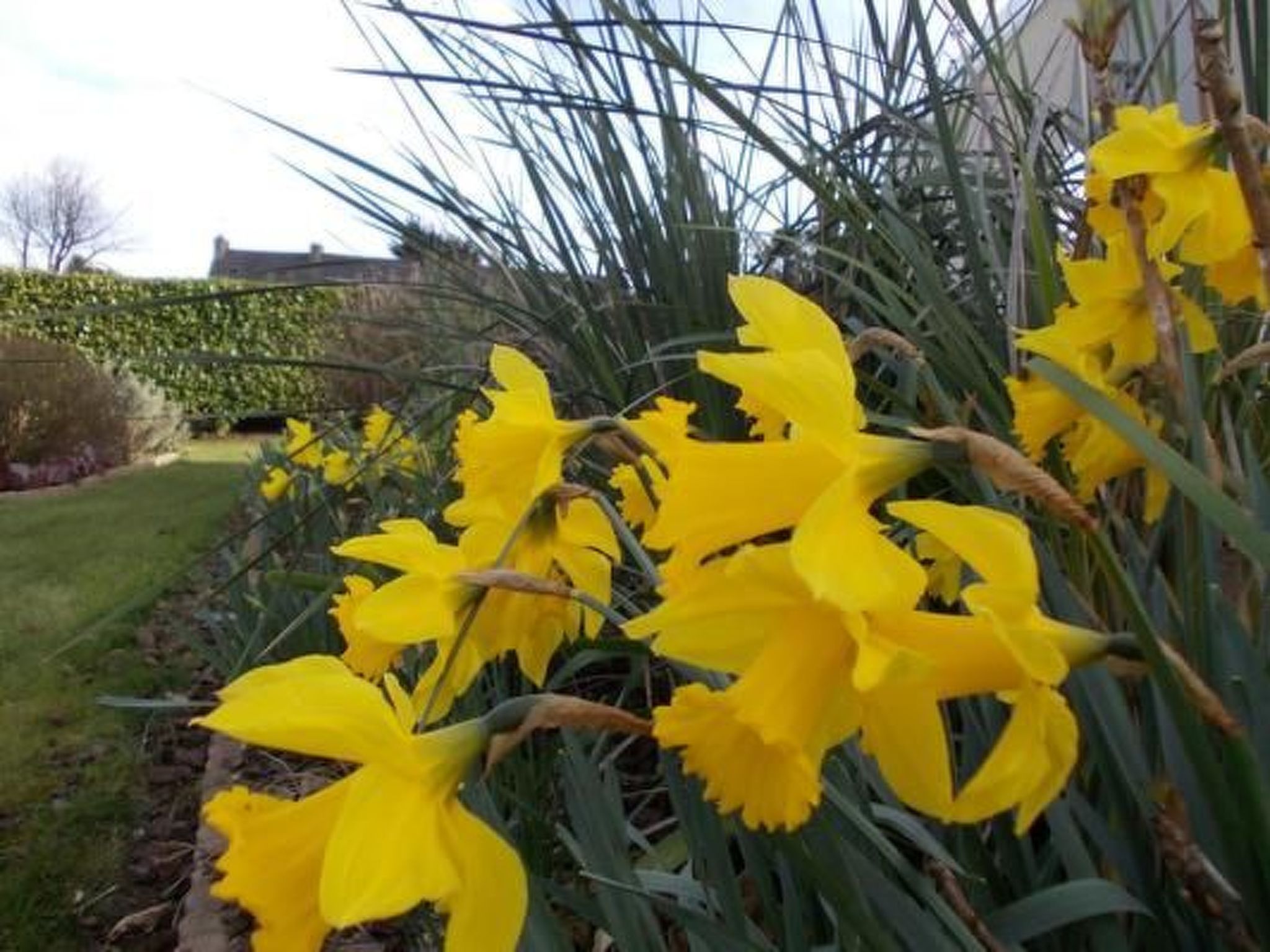 Komforthaus mit Traumgarten und Meerblick-Binnen