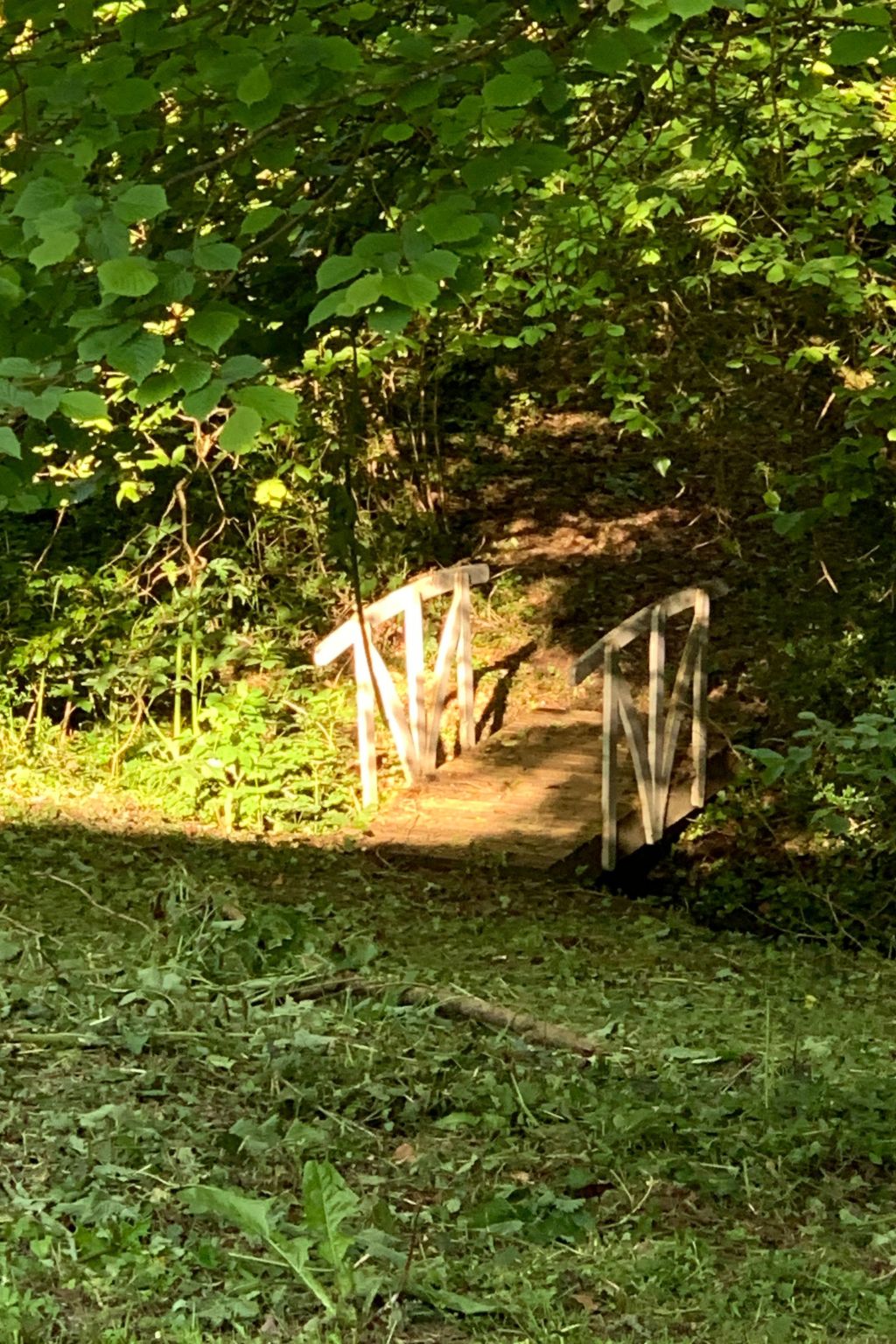 Gite - typisch bretonisches Bauernhaus mit Pool-Buiten